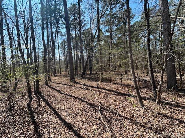 114 Coyote Canyon  Shirley, AR