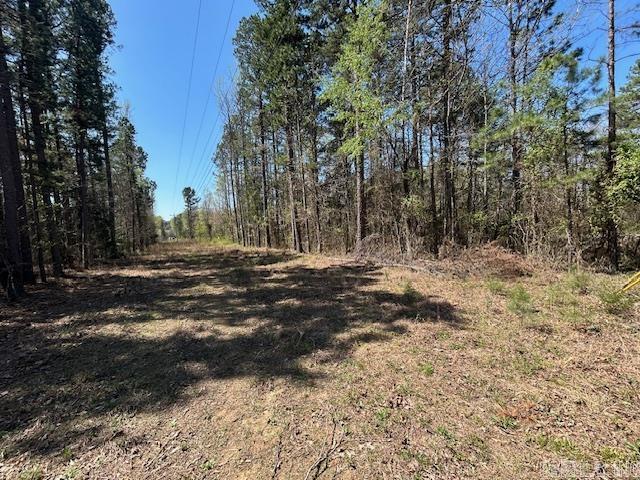 114 Coyote Canyon  Shirley, AR