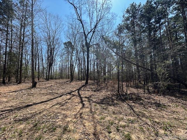 114 Coyote Canyon  Shirley, AR