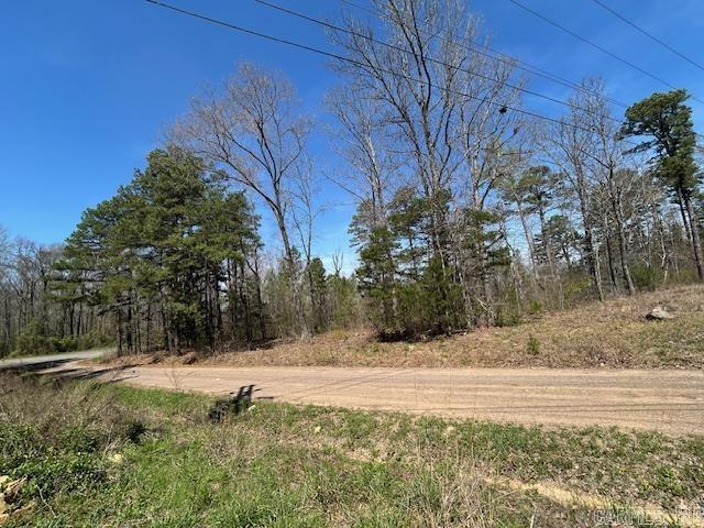 114 Coyote Canyon  Shirley, AR