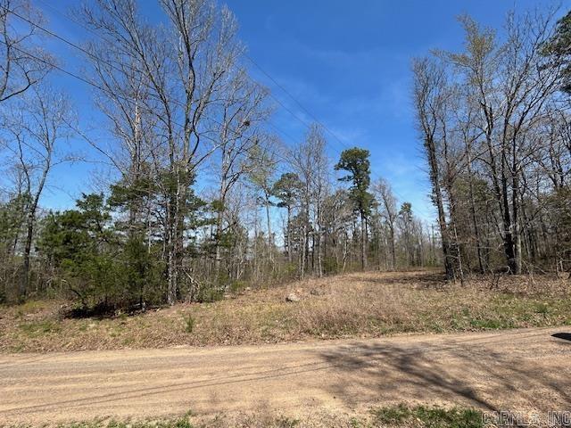 114 Coyote Canyon  Shirley, AR