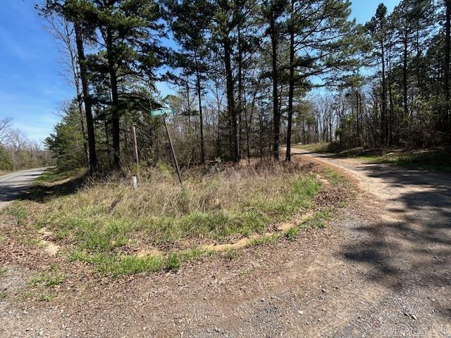 114 Coyote Canyon  Shirley, AR