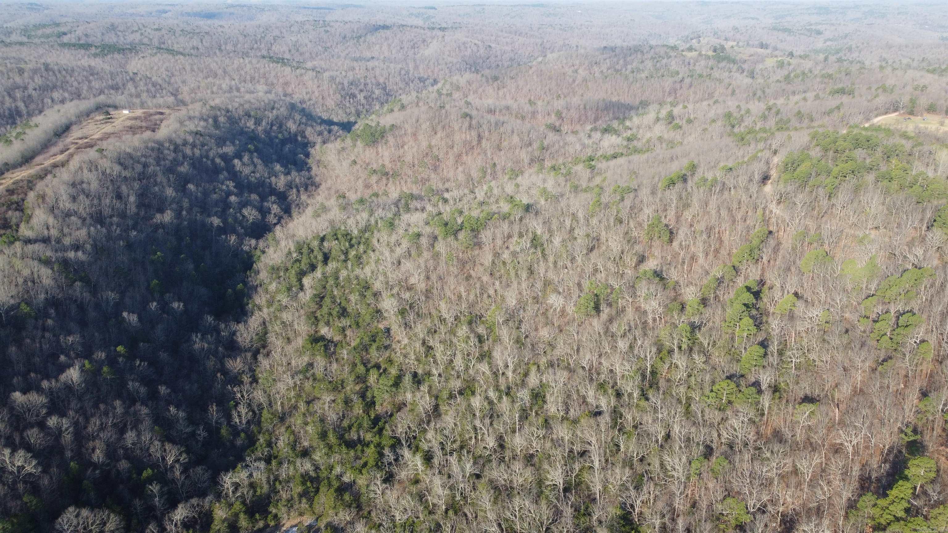 000 Schnauzer LN  Harriet, AR