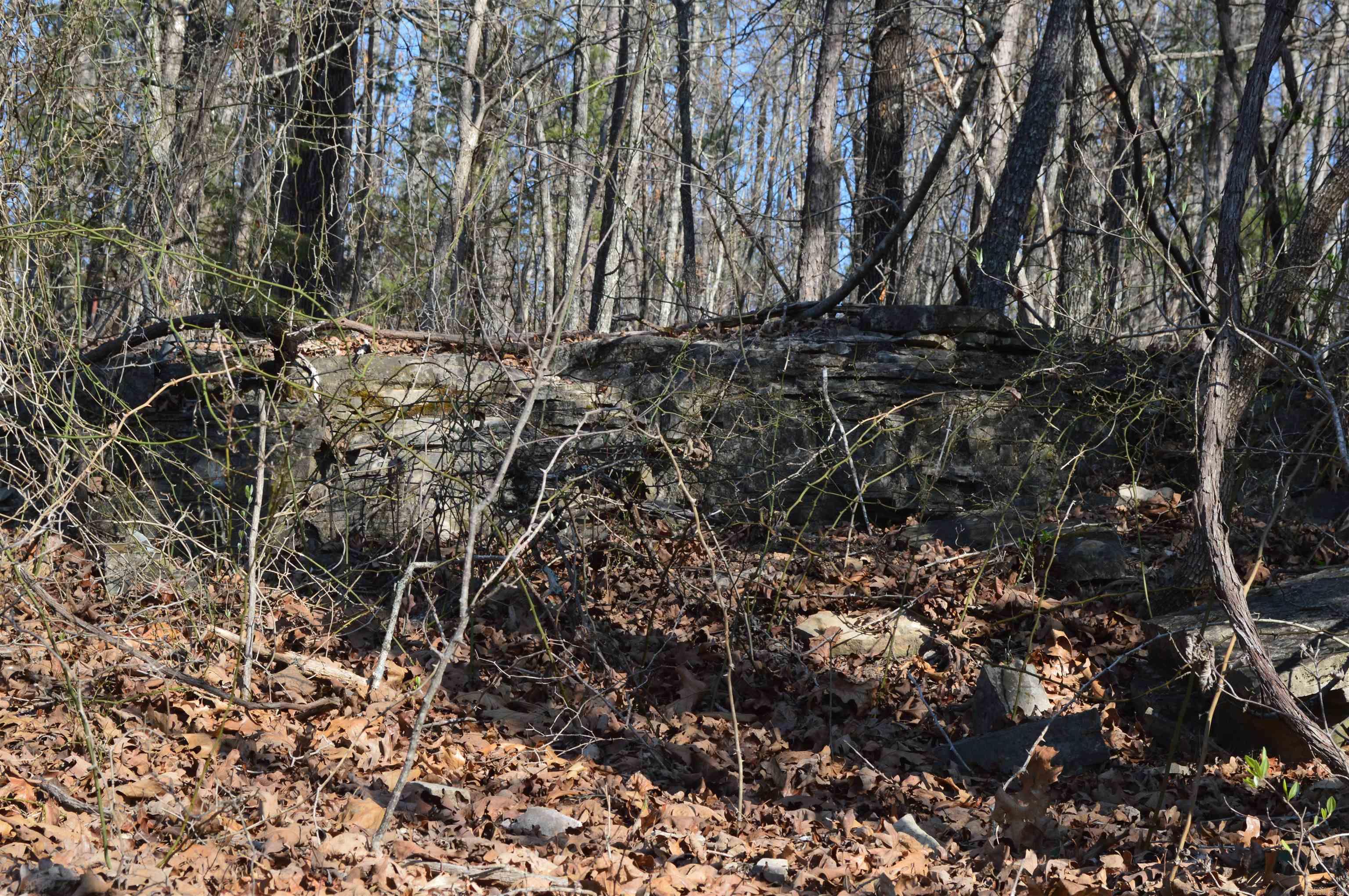 000 Schnauzer LN  Harriet, AR