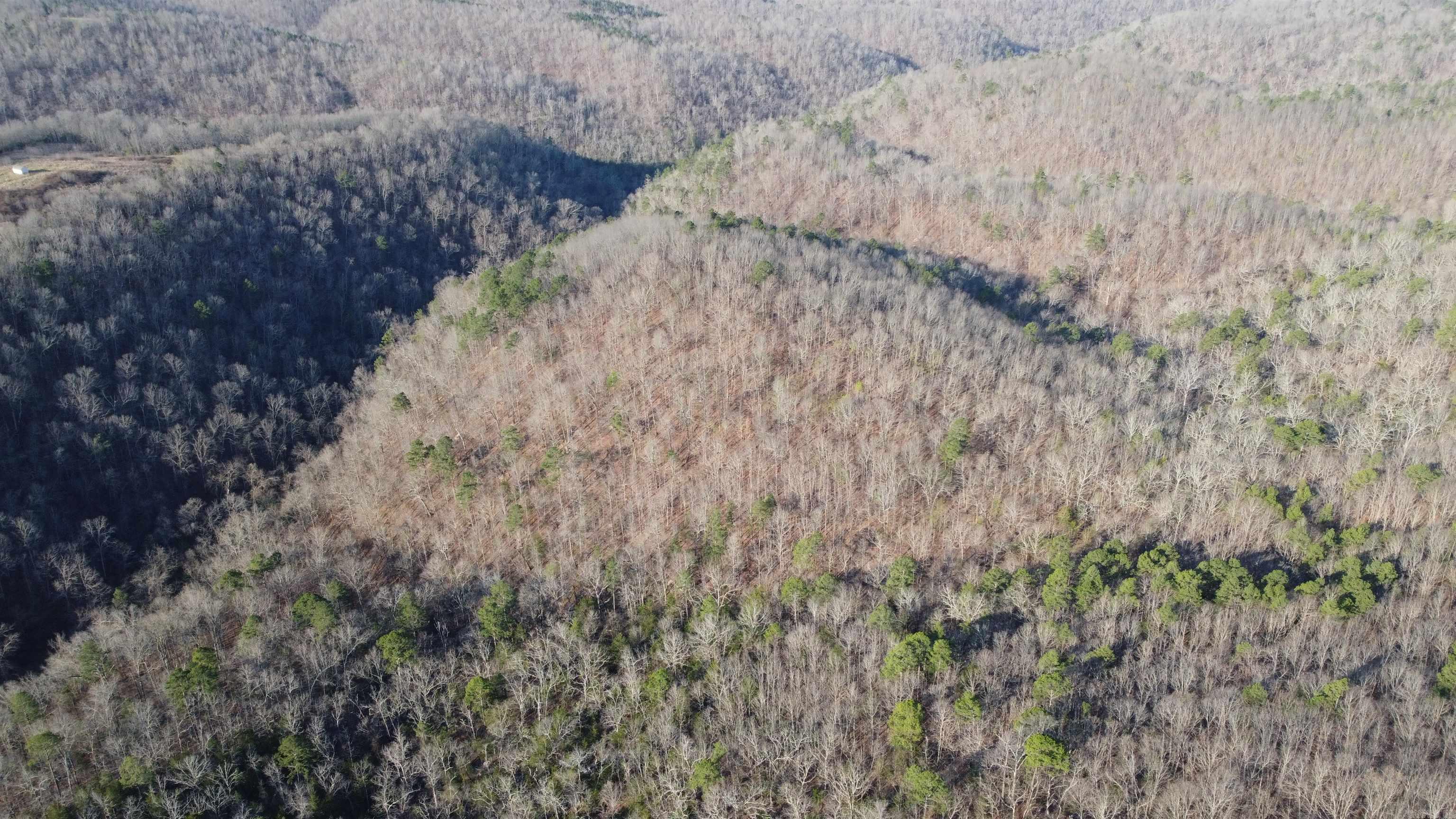 000 Schnauzer LN  Harriet, AR