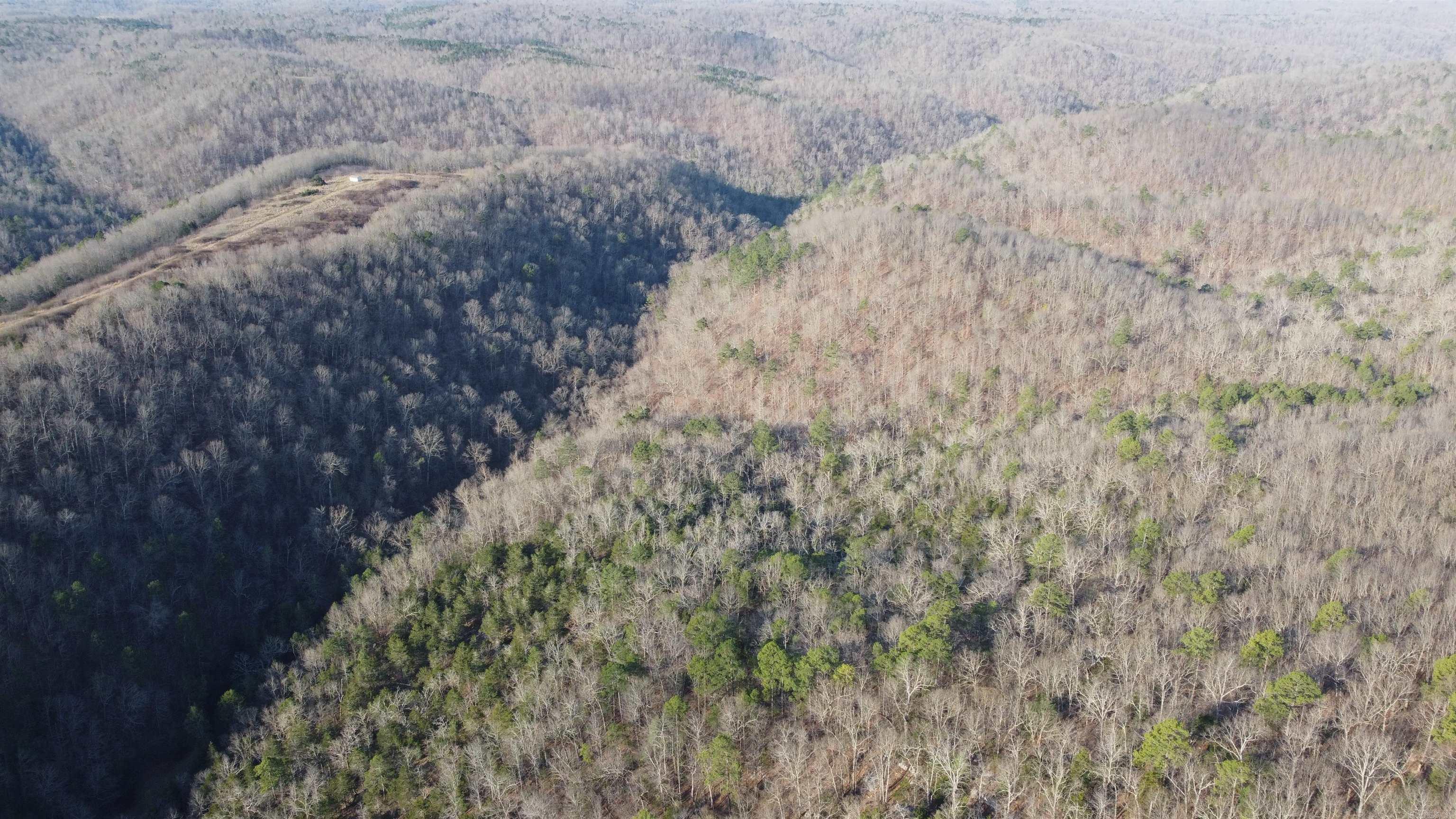 000 Schnauzer LN  Harriet, AR