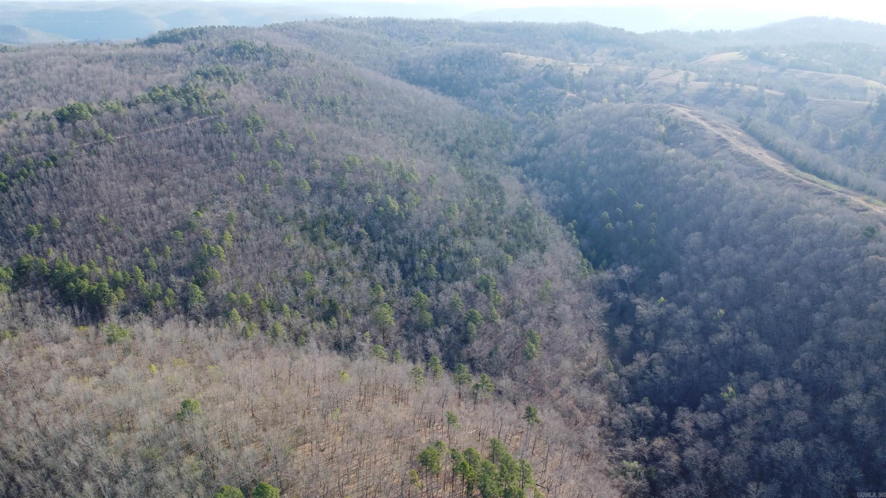 000 Schnauzer LN  Harriet, AR