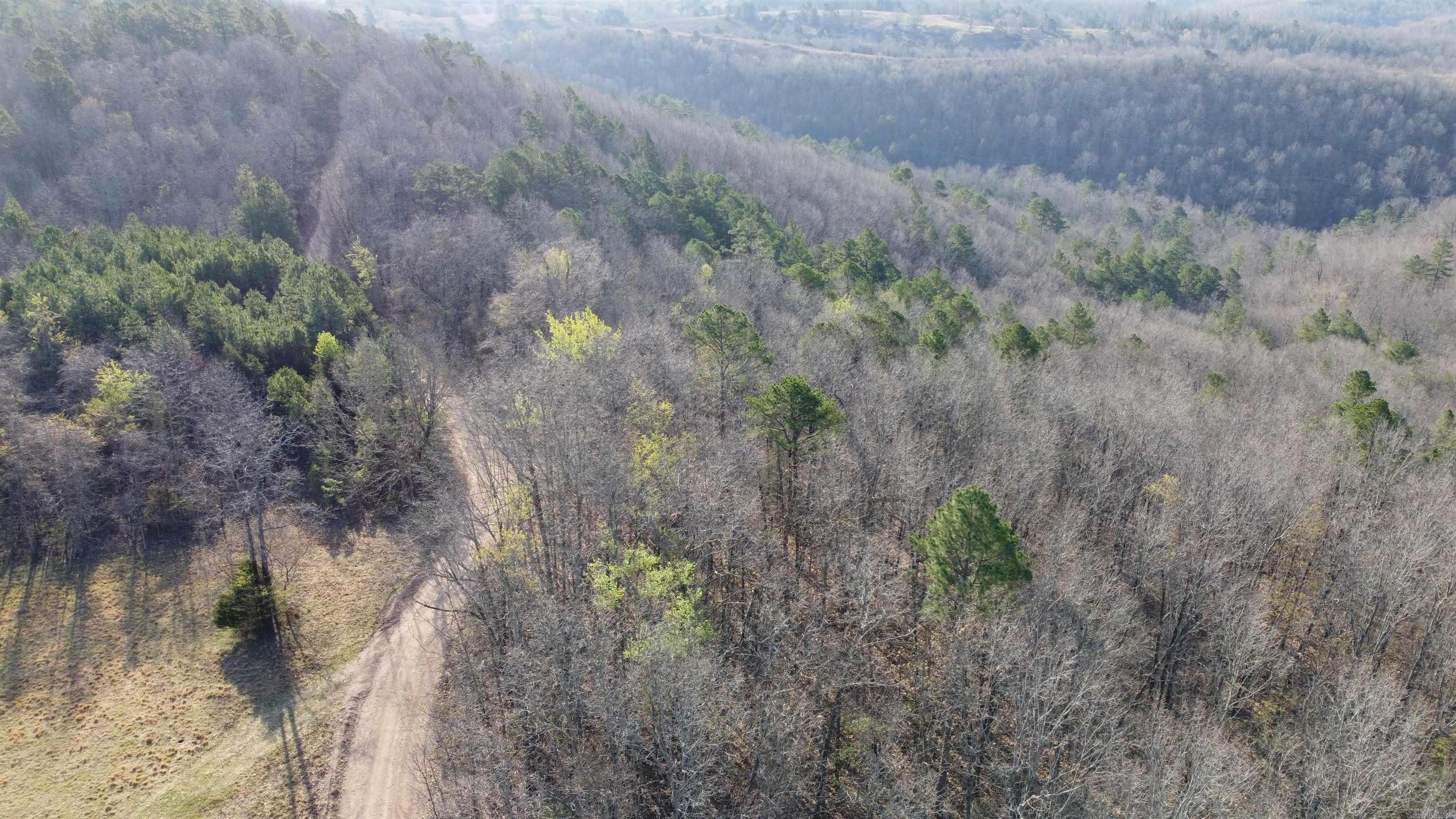 000 Schnauzer LN  Harriet, AR