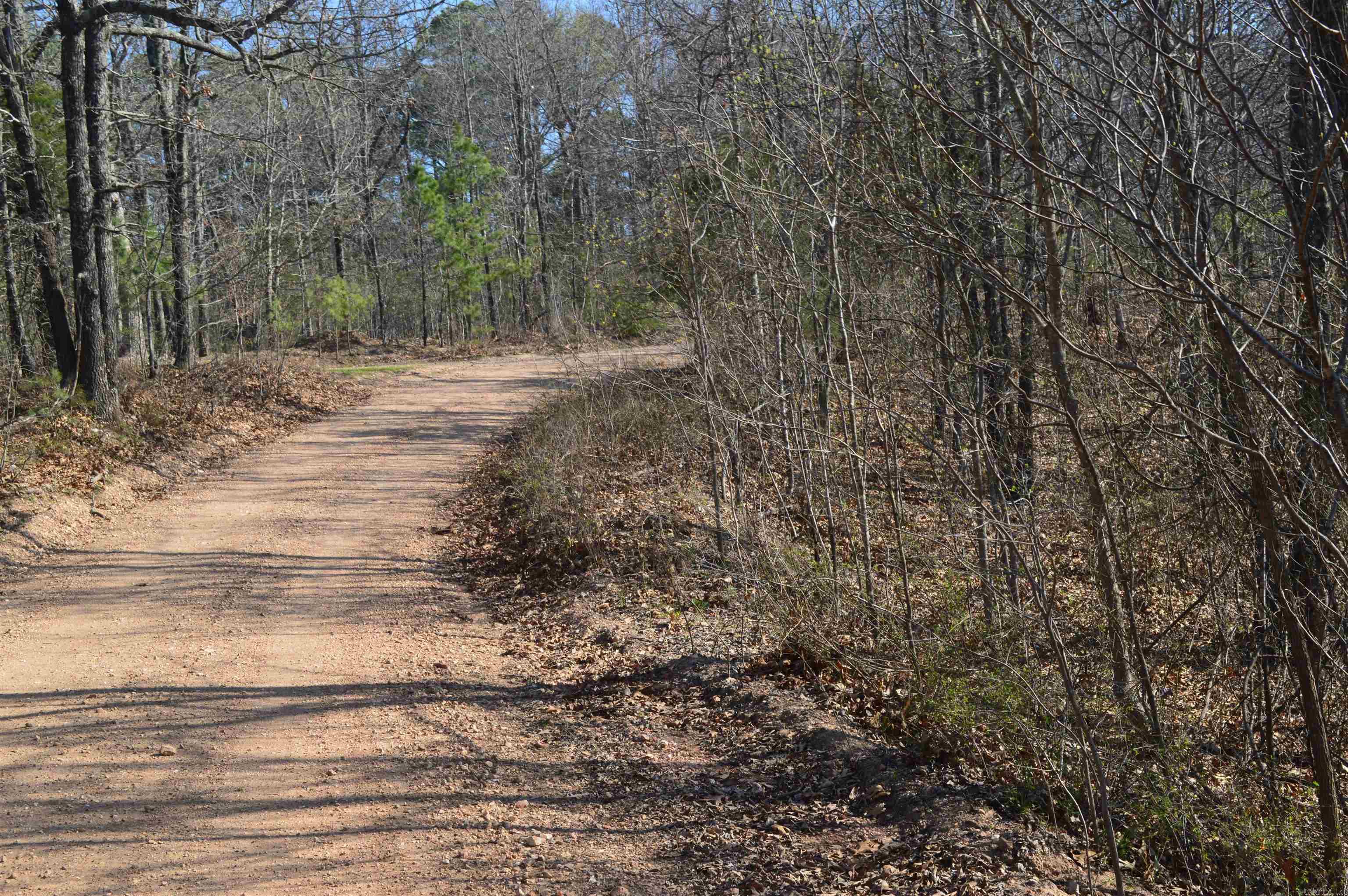 000 Schnauzer LN  Harriet, AR