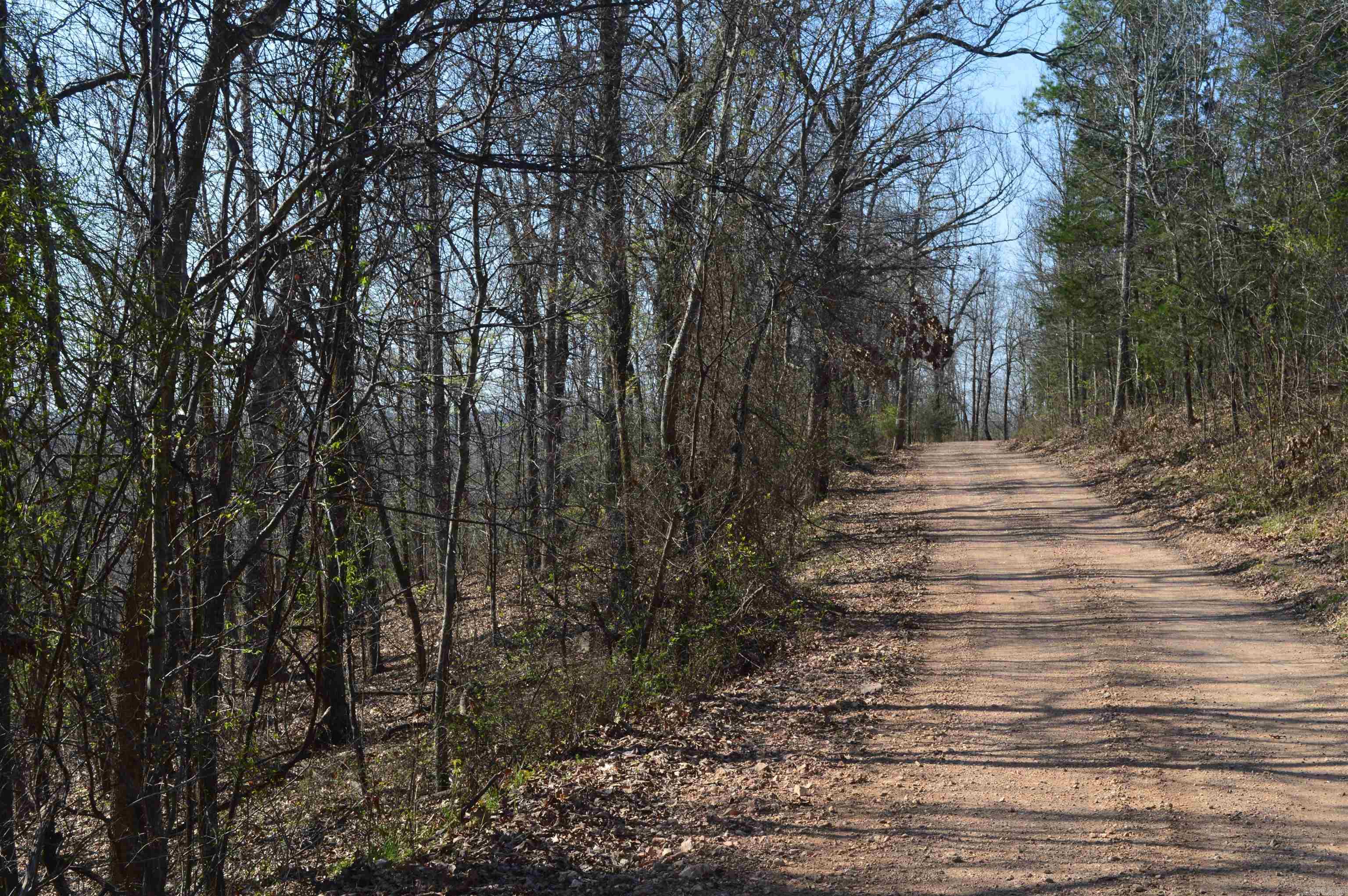 000 Schnauzer LN  Harriet, AR