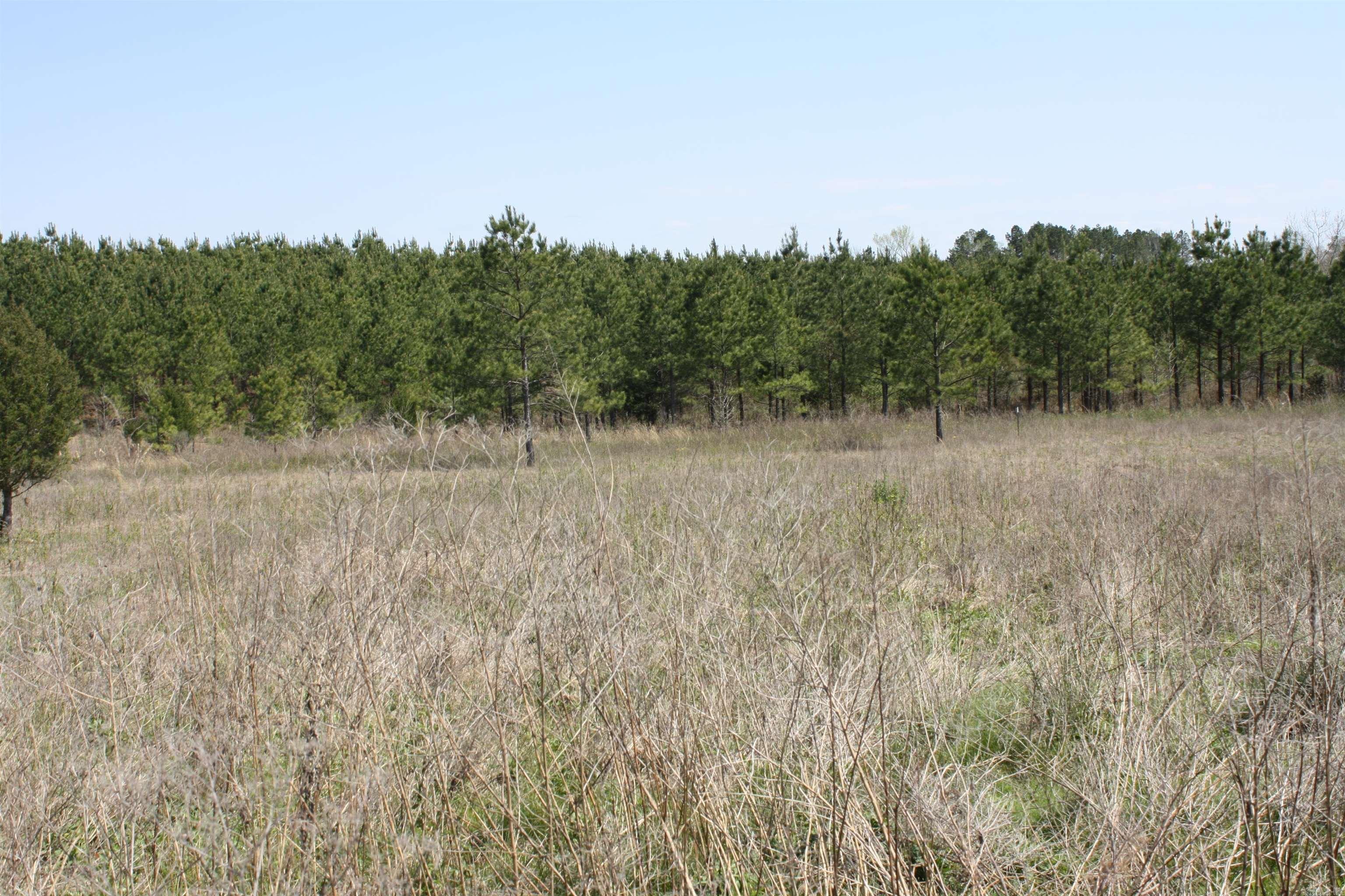 10620 Gunter Loop  Benton, AR