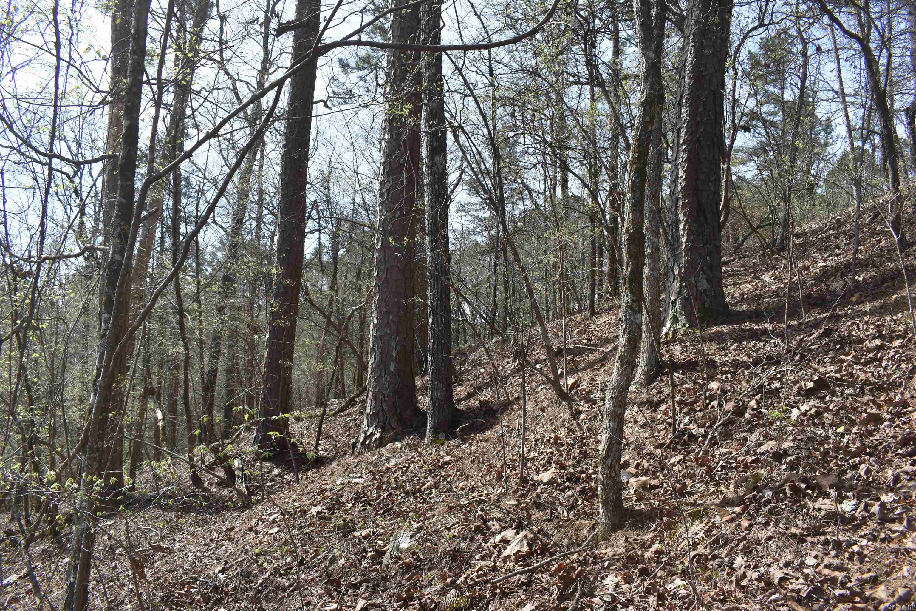 0000 Old Dallas Road  Norman, AR