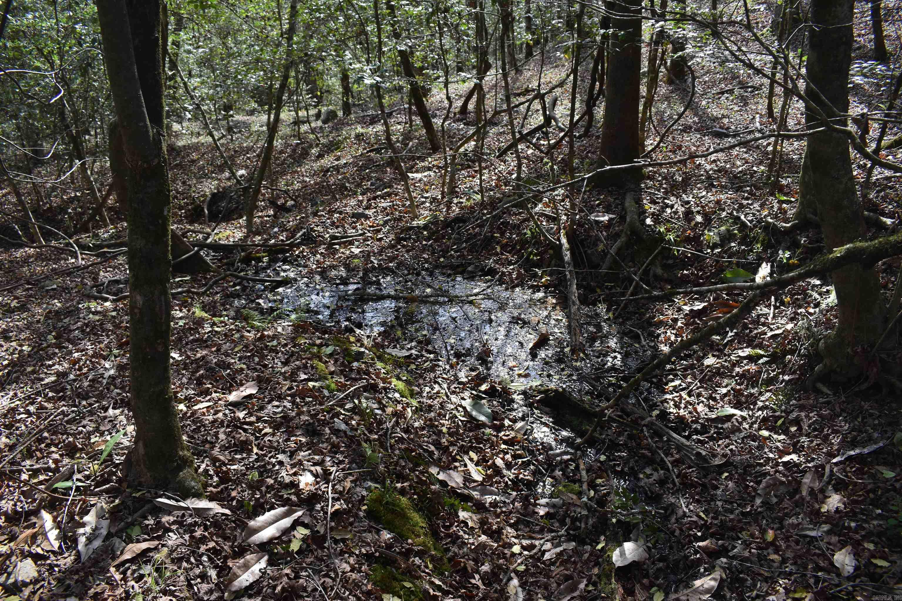 0000 Old Dallas Road  Norman, AR