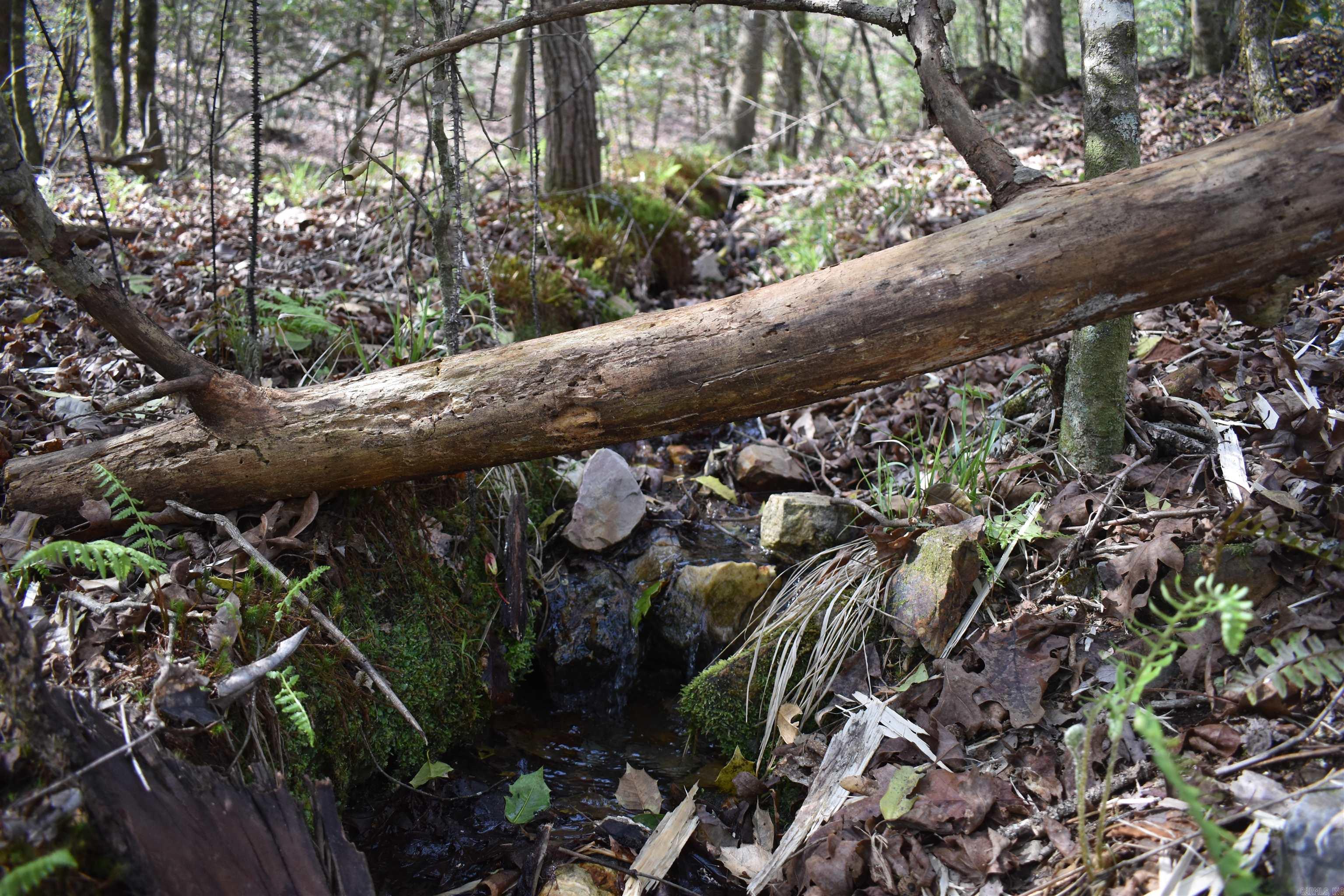 0000 Old Dallas Road  Norman, AR