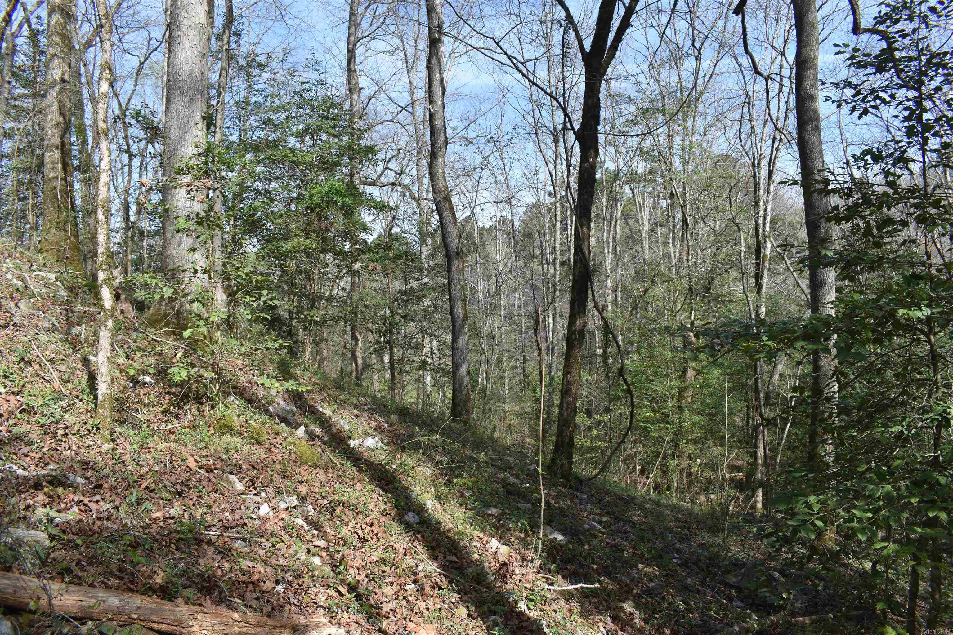 0000 Old Dallas Road  Norman, AR