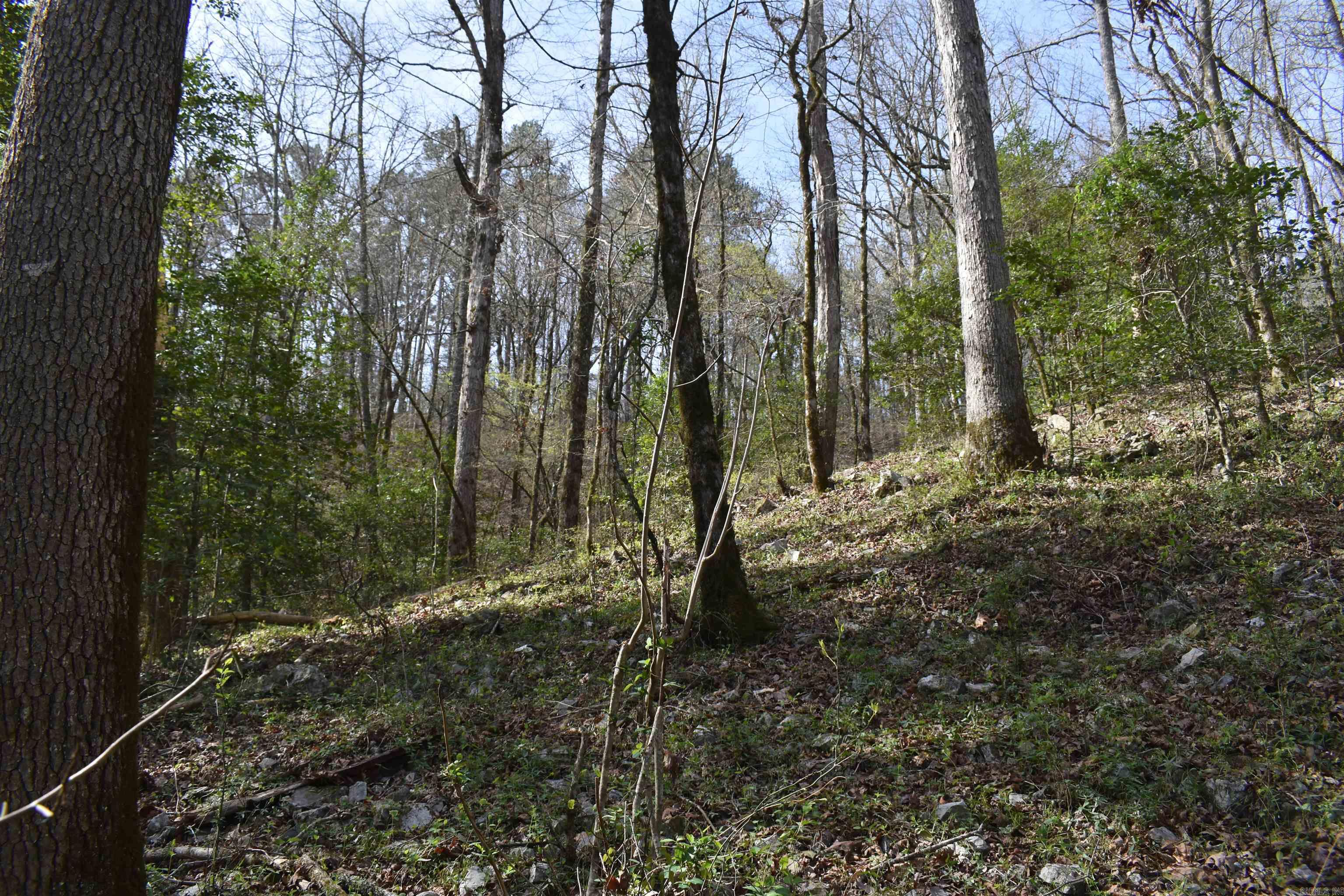 0000 Old Dallas Road  Norman, AR