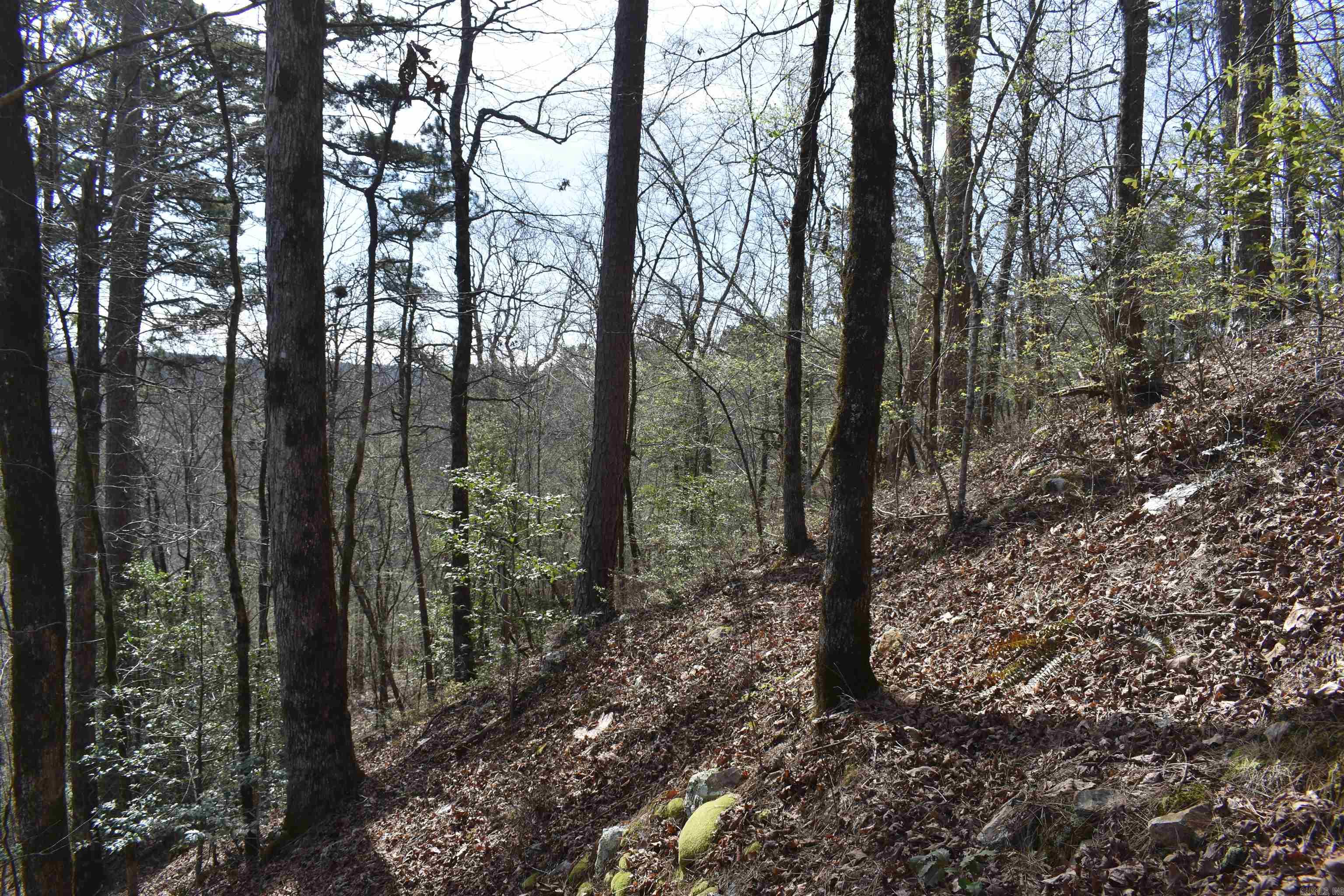 0000 Old Dallas Road  Norman, AR