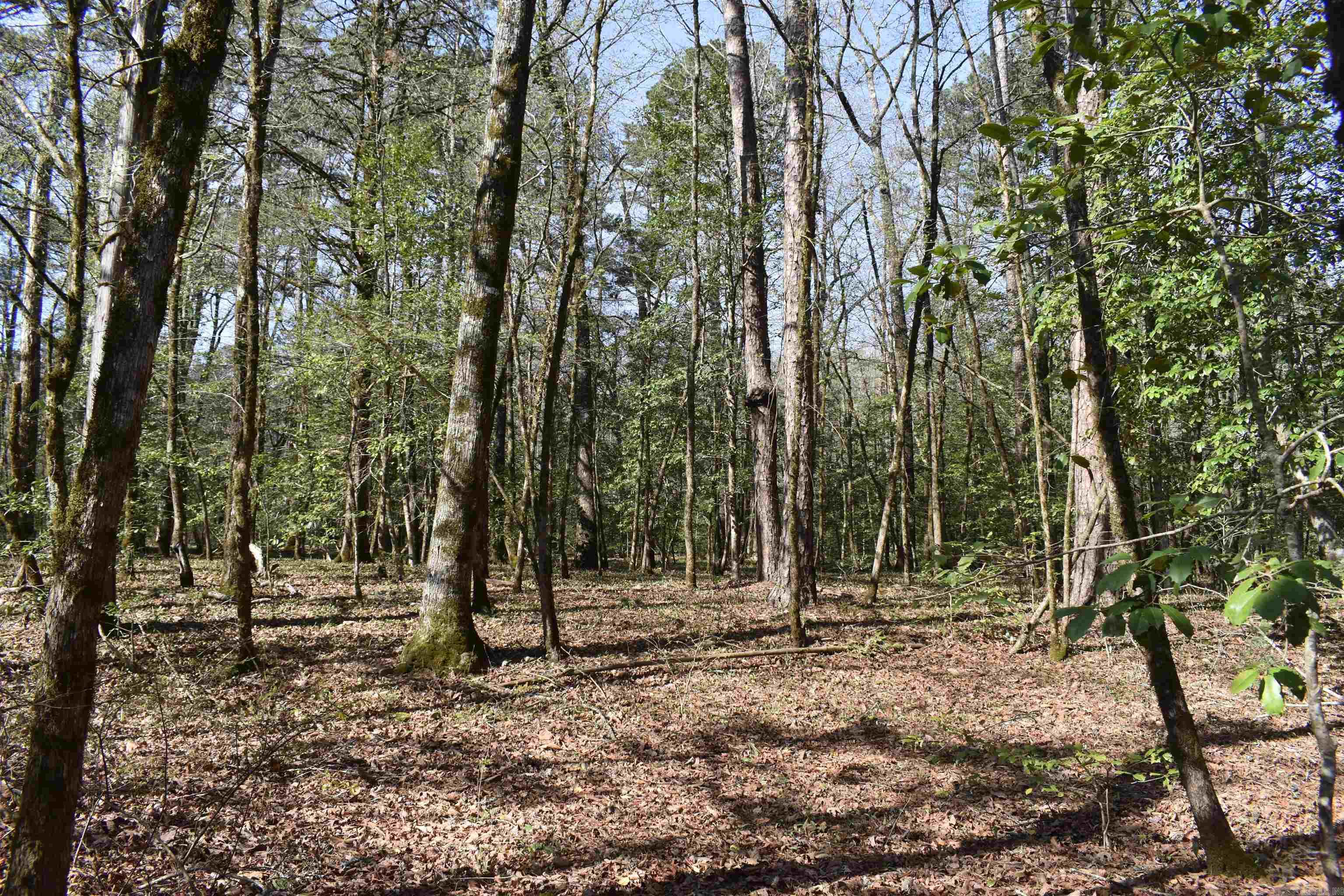 0000 Old Dallas Road  Norman, AR