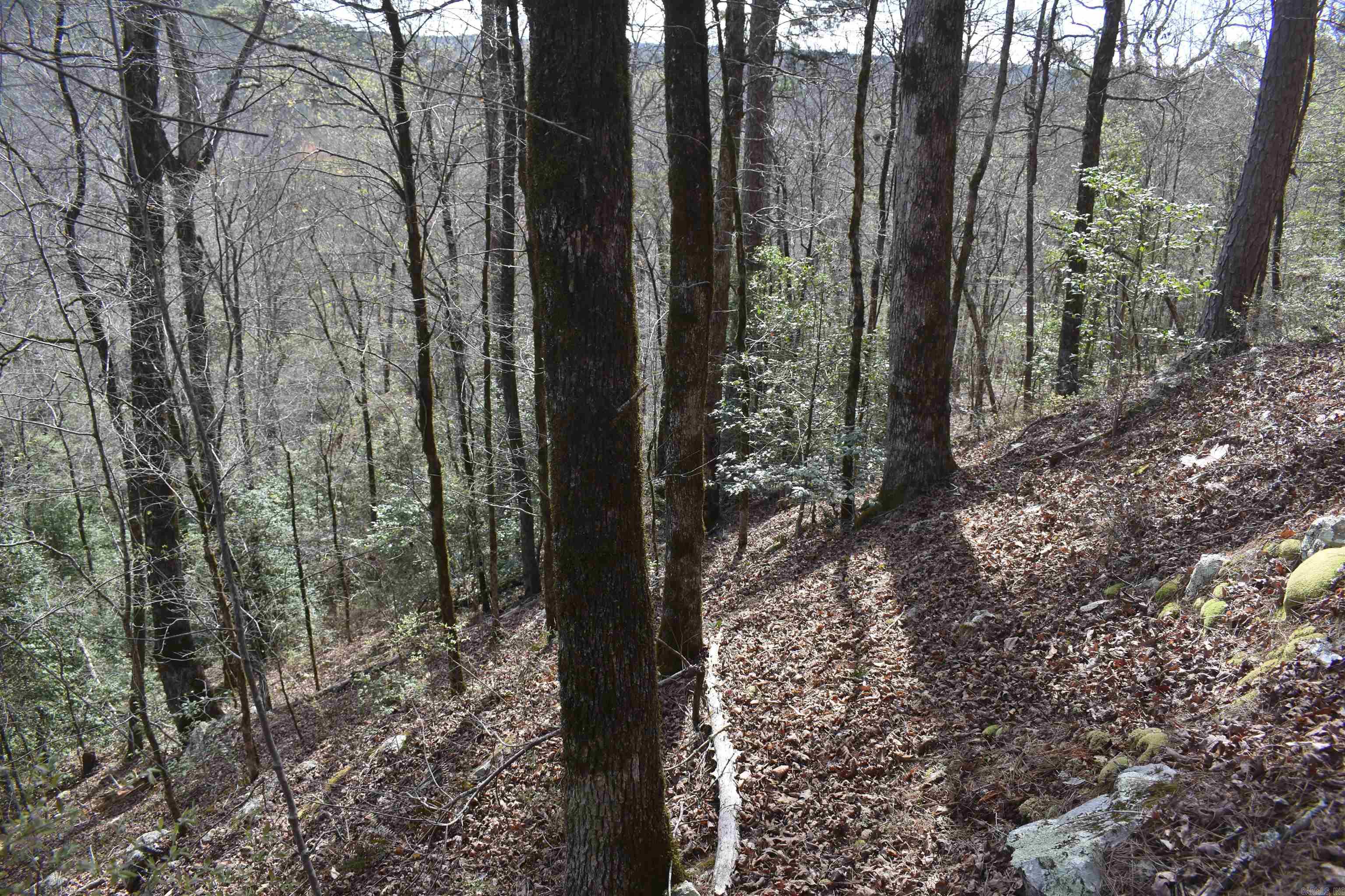 0000 Old Dallas Road  Norman, AR