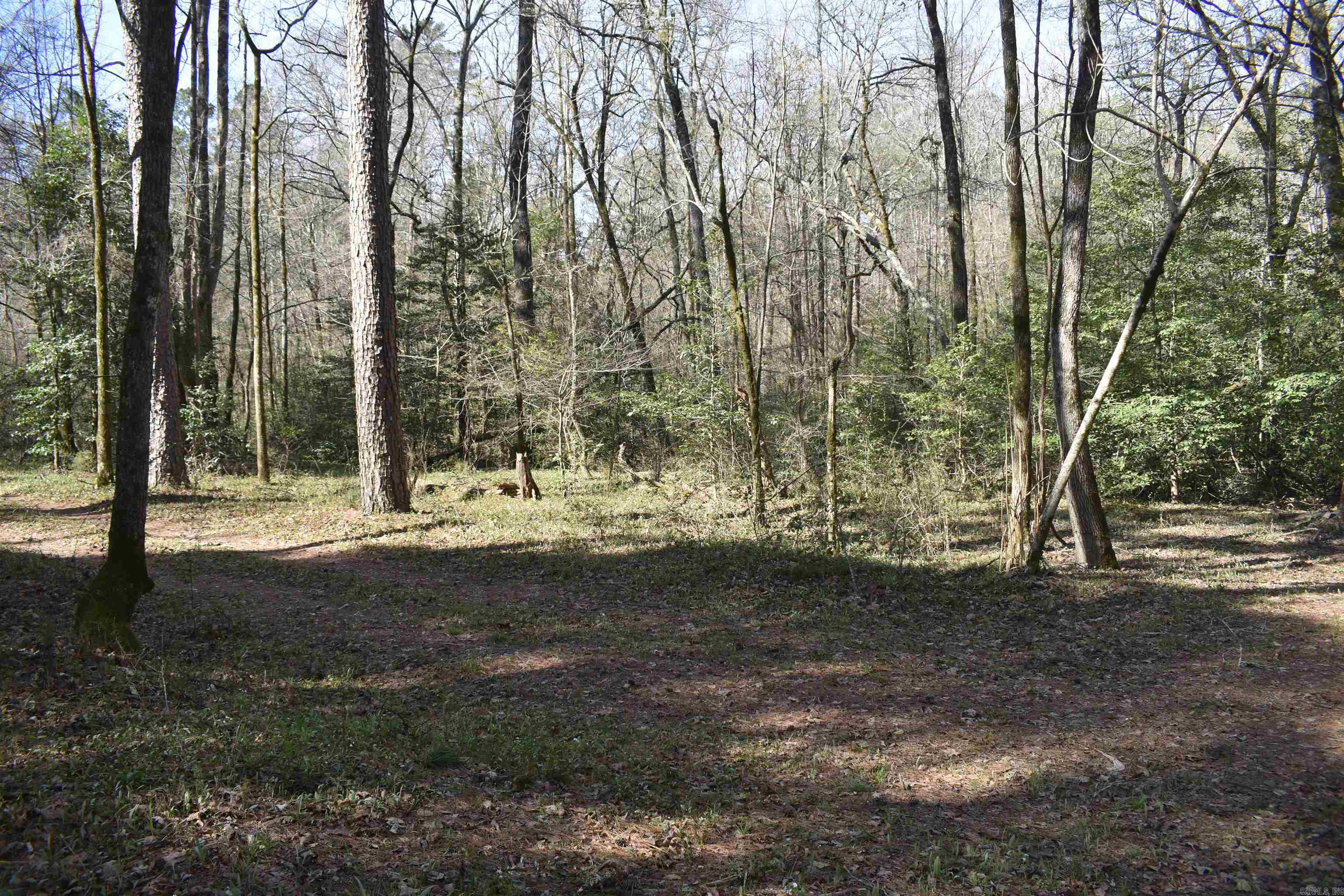 0000 Old Dallas Road  Norman, AR