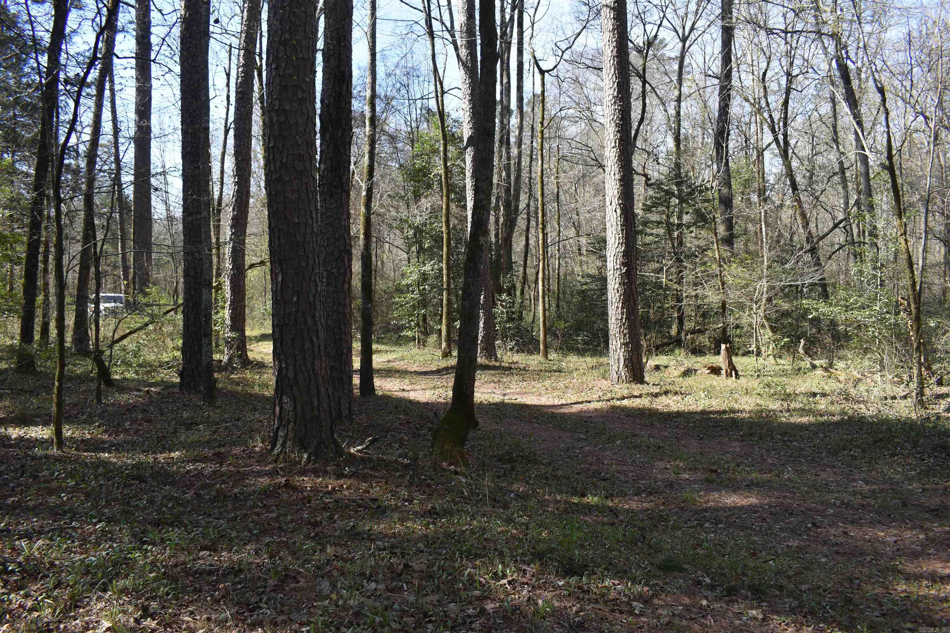 0000 Old Dallas Road  Norman, AR