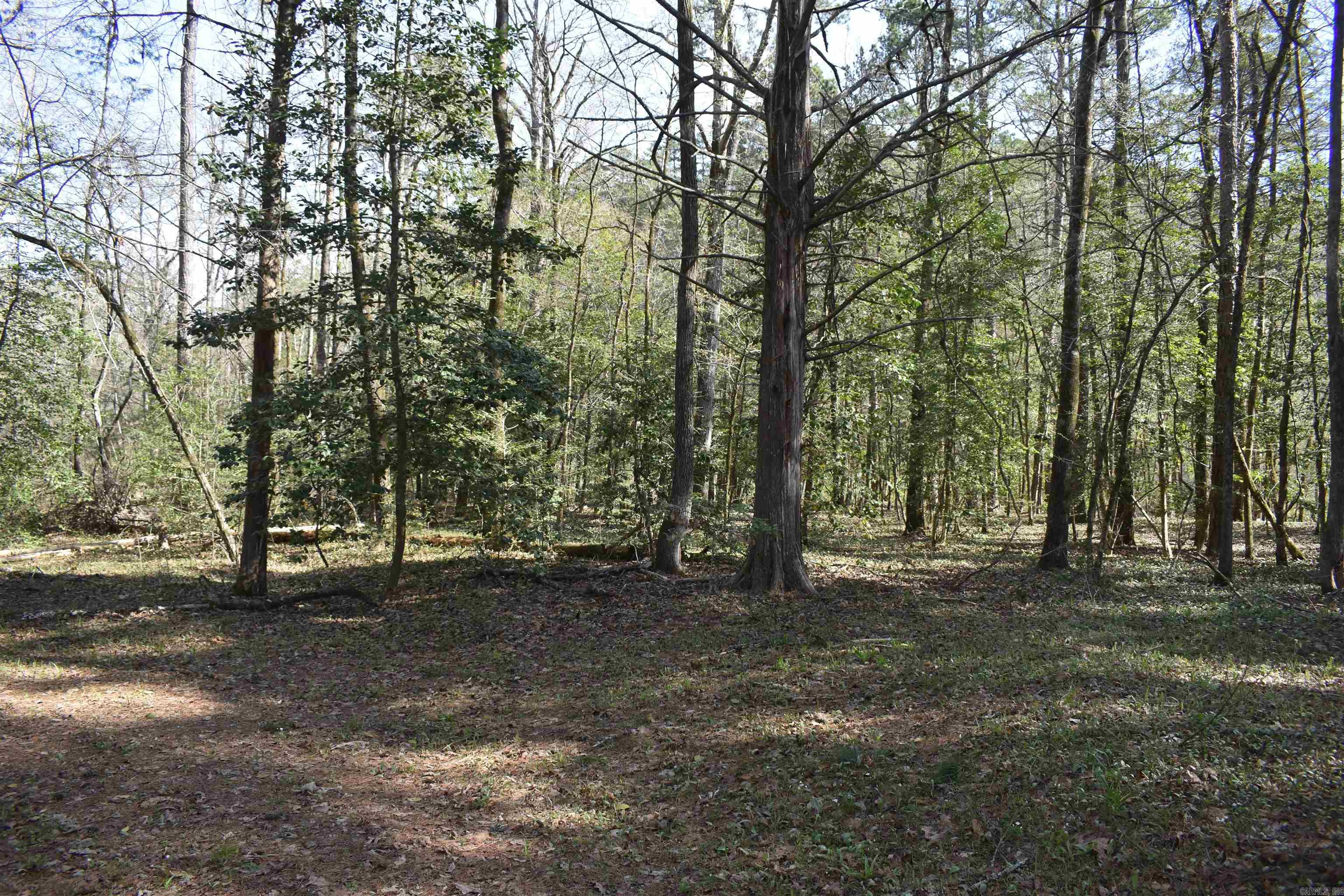 0000 Old Dallas Road  Norman, AR