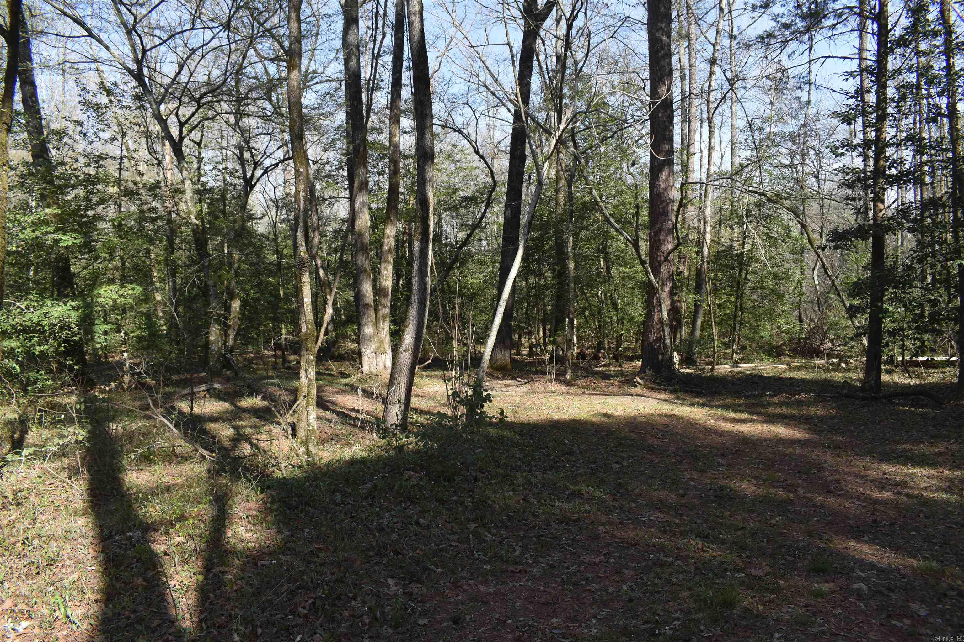 0000 Old Dallas Road  Norman, AR