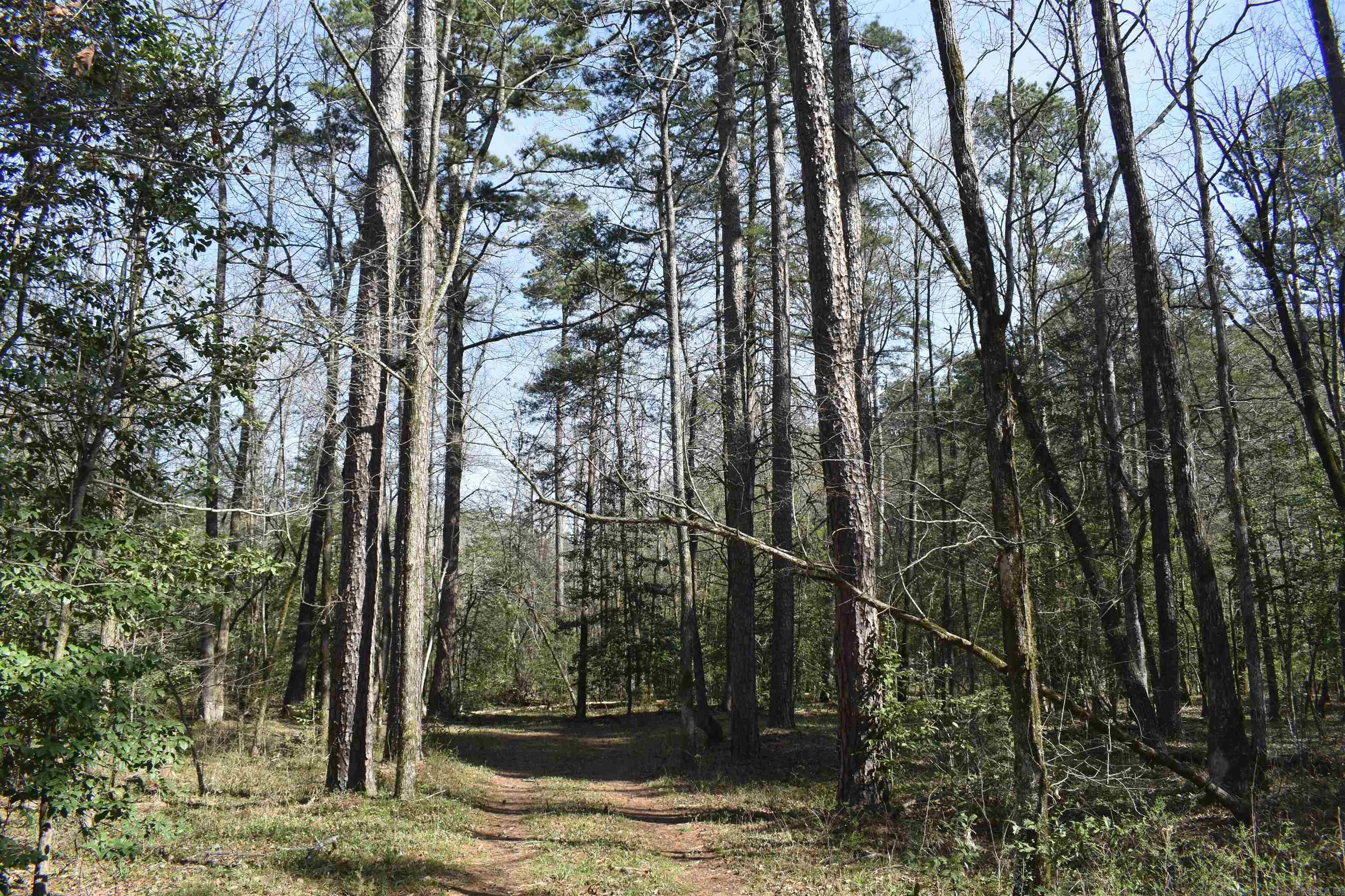 0000 Old Dallas Road  Norman, AR