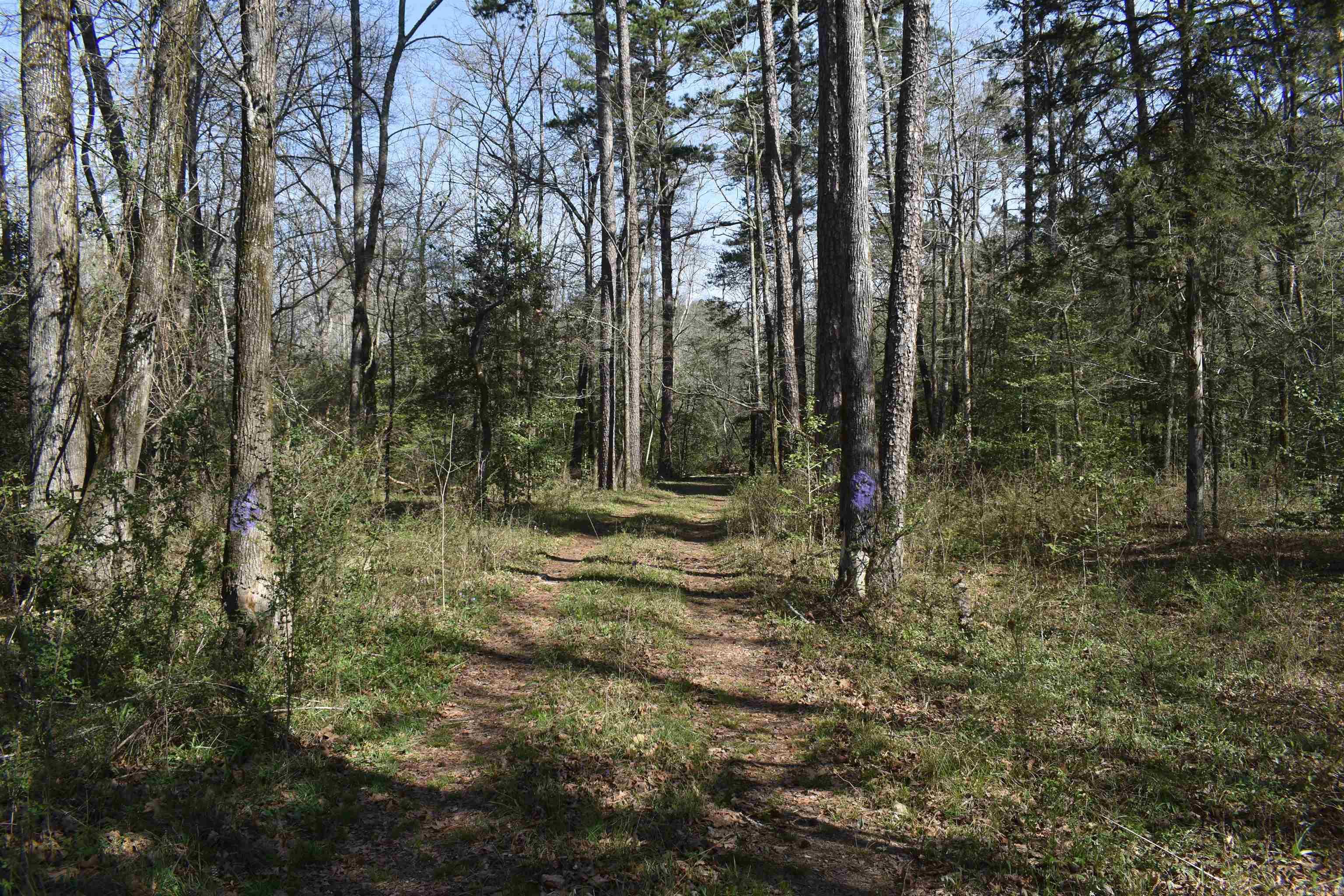 0000 Old Dallas Road  Norman, AR