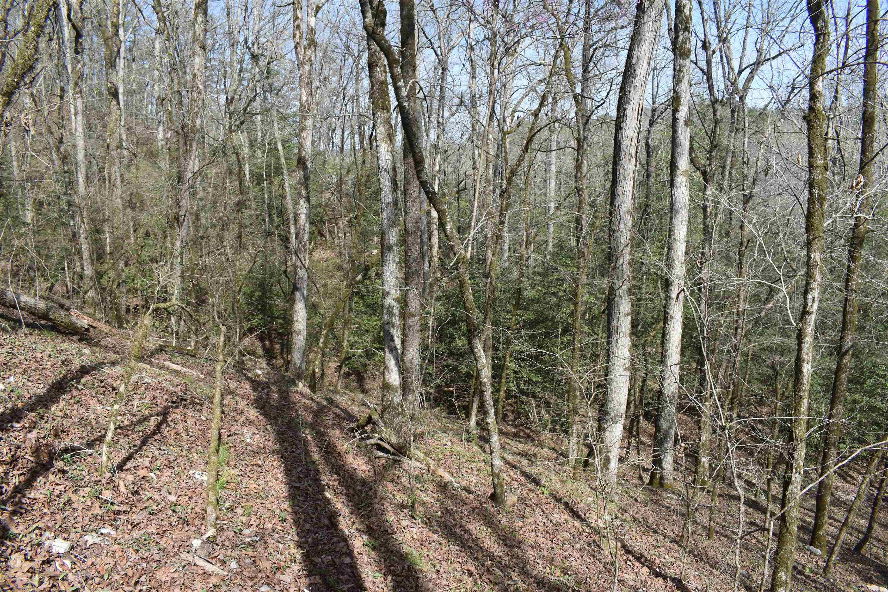 0000 Old Dallas Road  Norman, AR