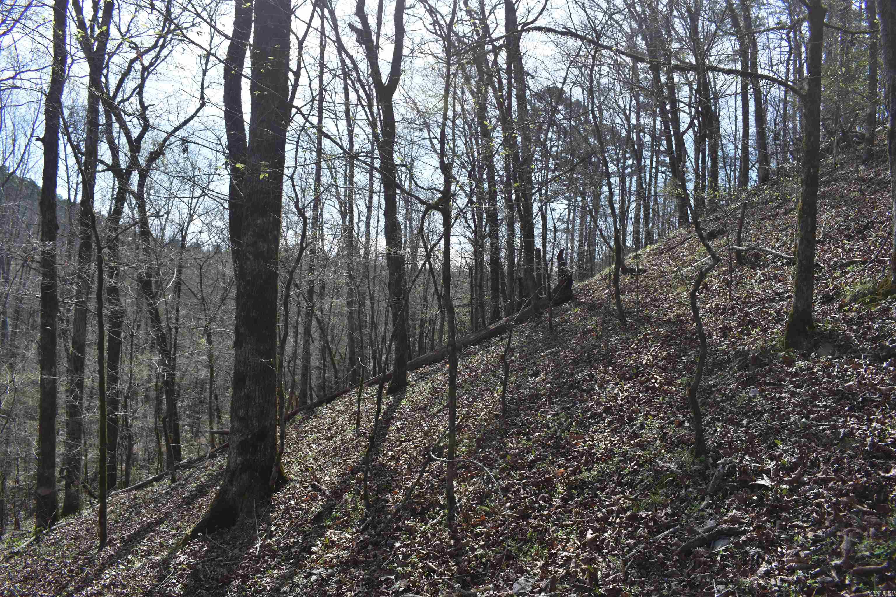 0000 Old Dallas Road  Norman, AR