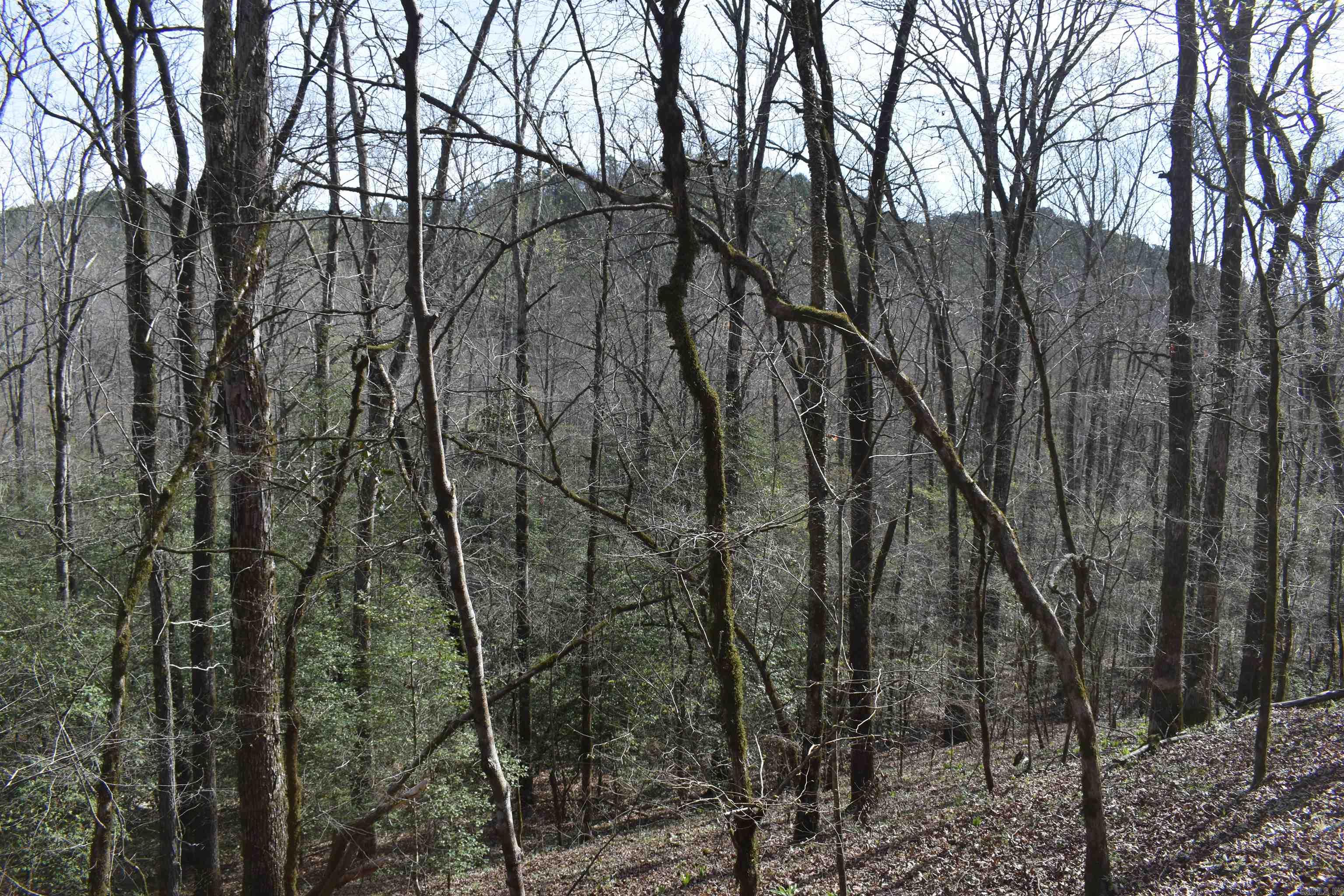 0000 Old Dallas Road  Norman, AR