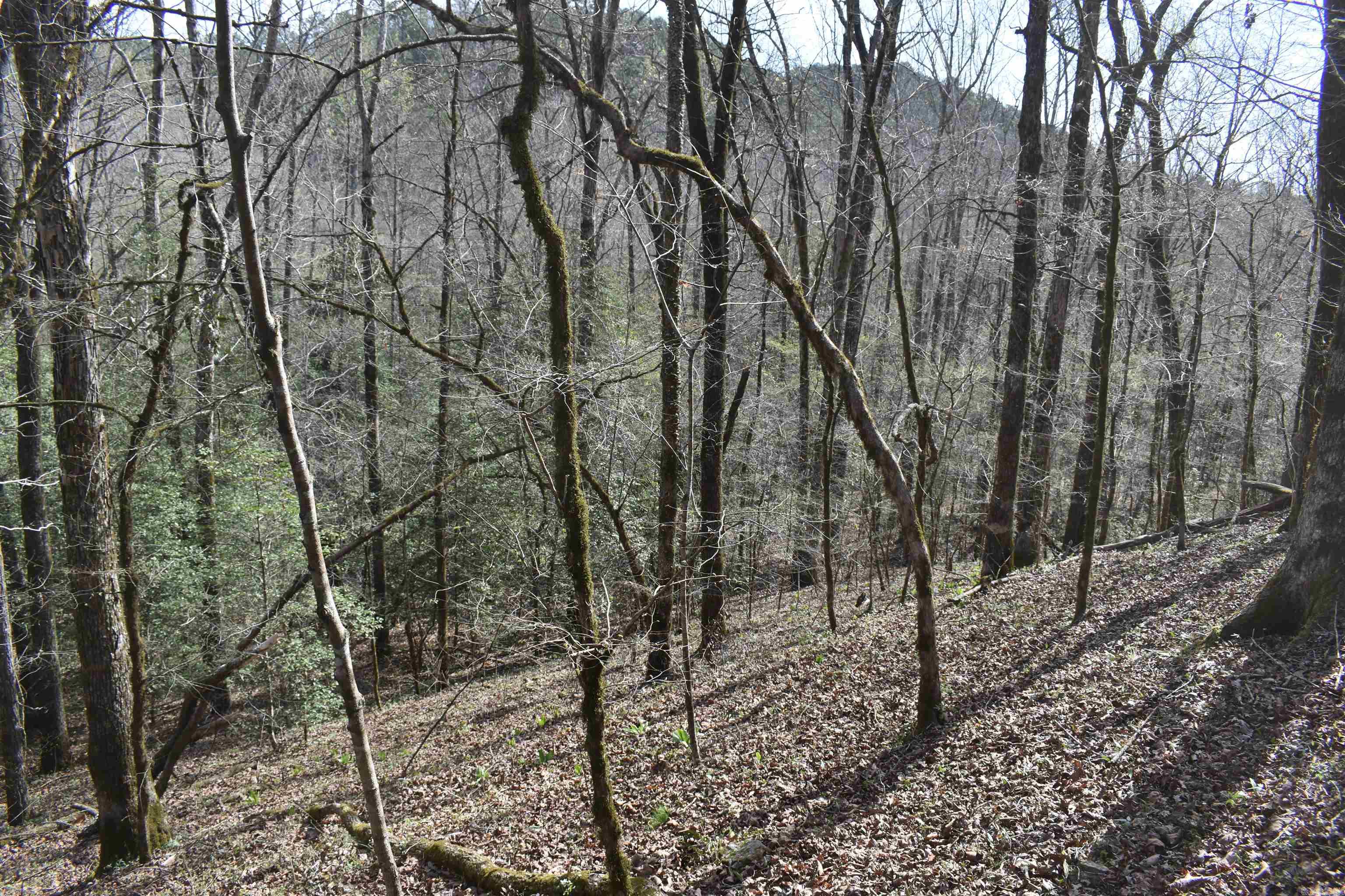 0000 Old Dallas Road  Norman, AR