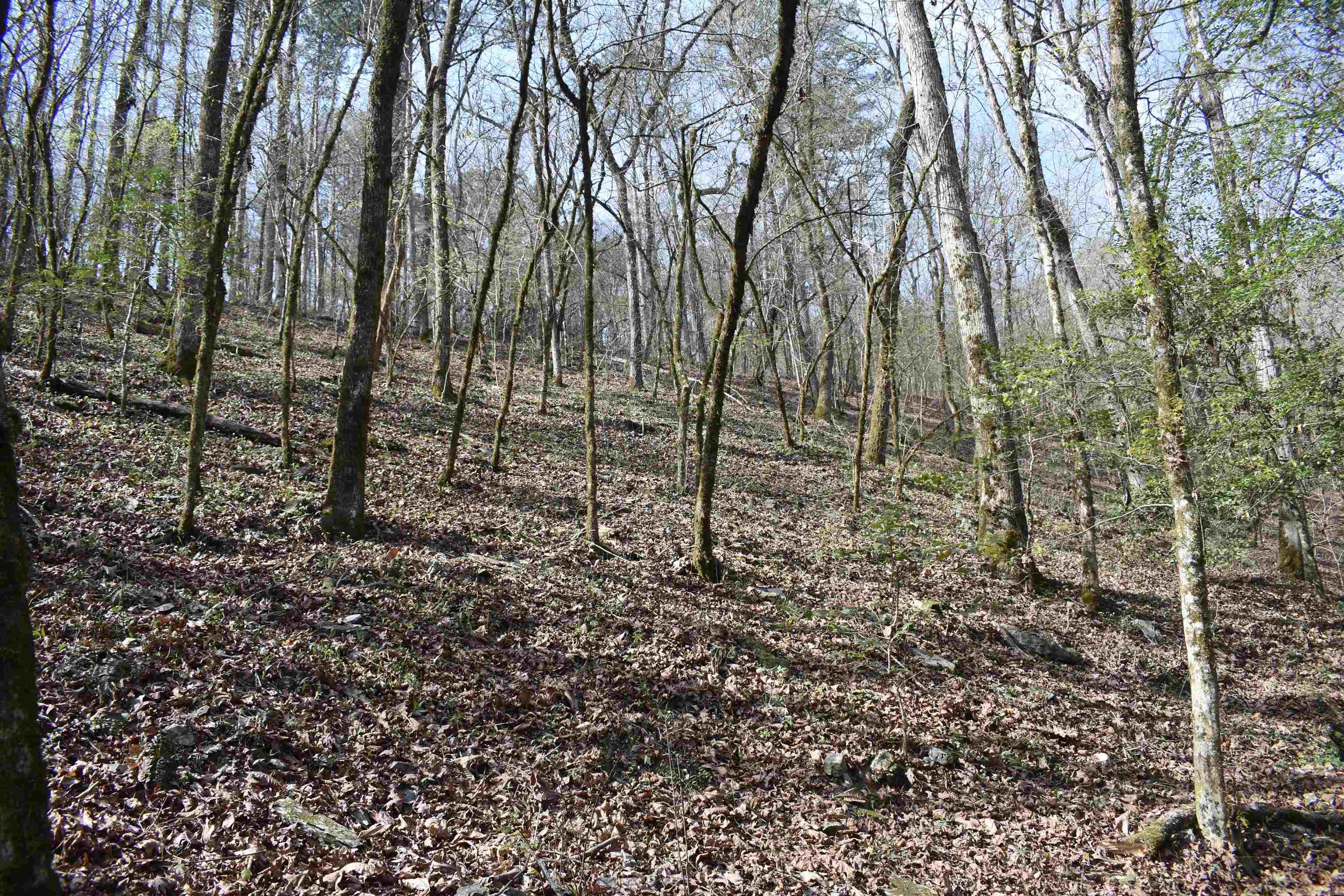 0000 Old Dallas Road  Norman, AR