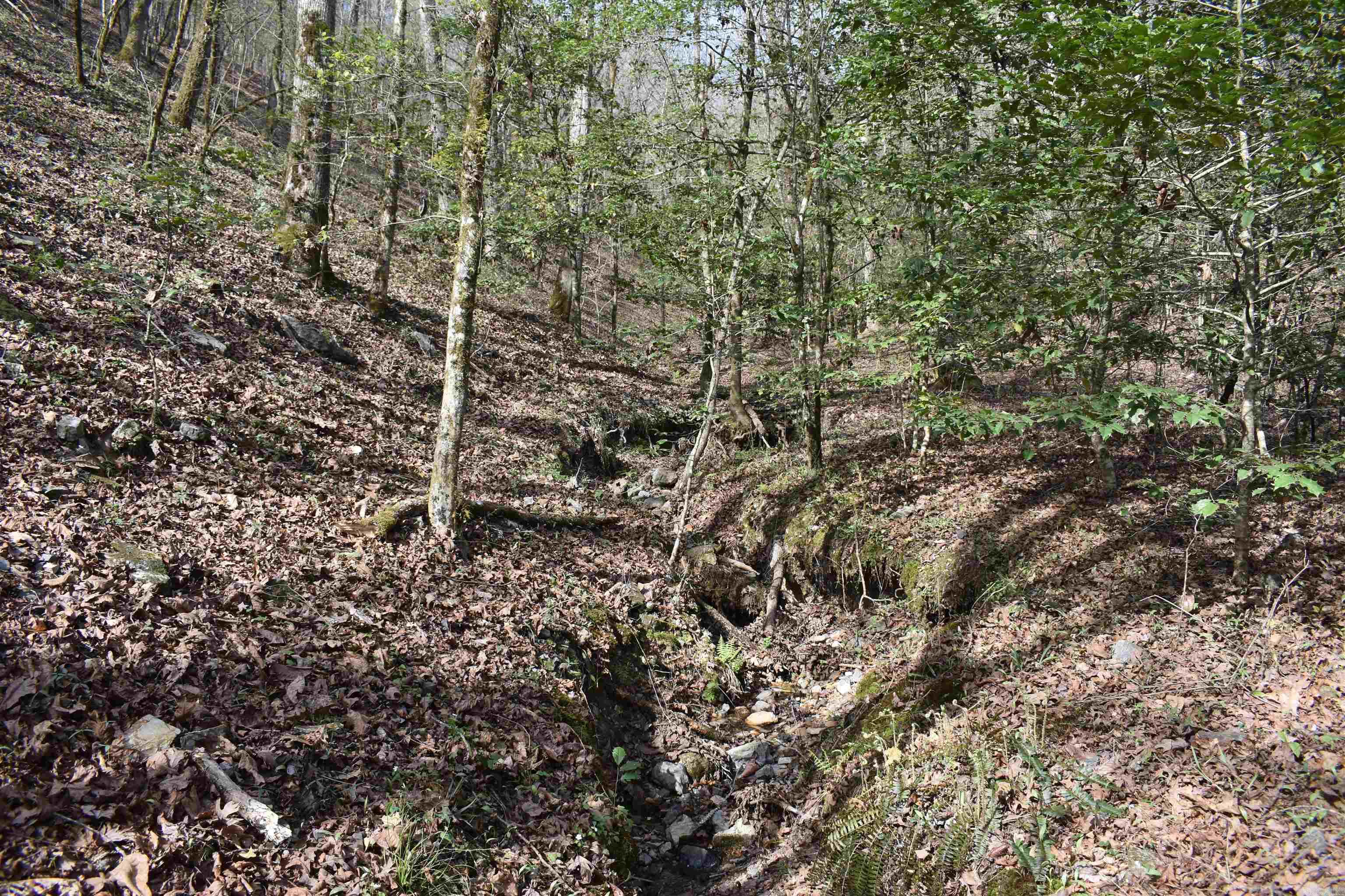 0000 Old Dallas Road  Norman, AR