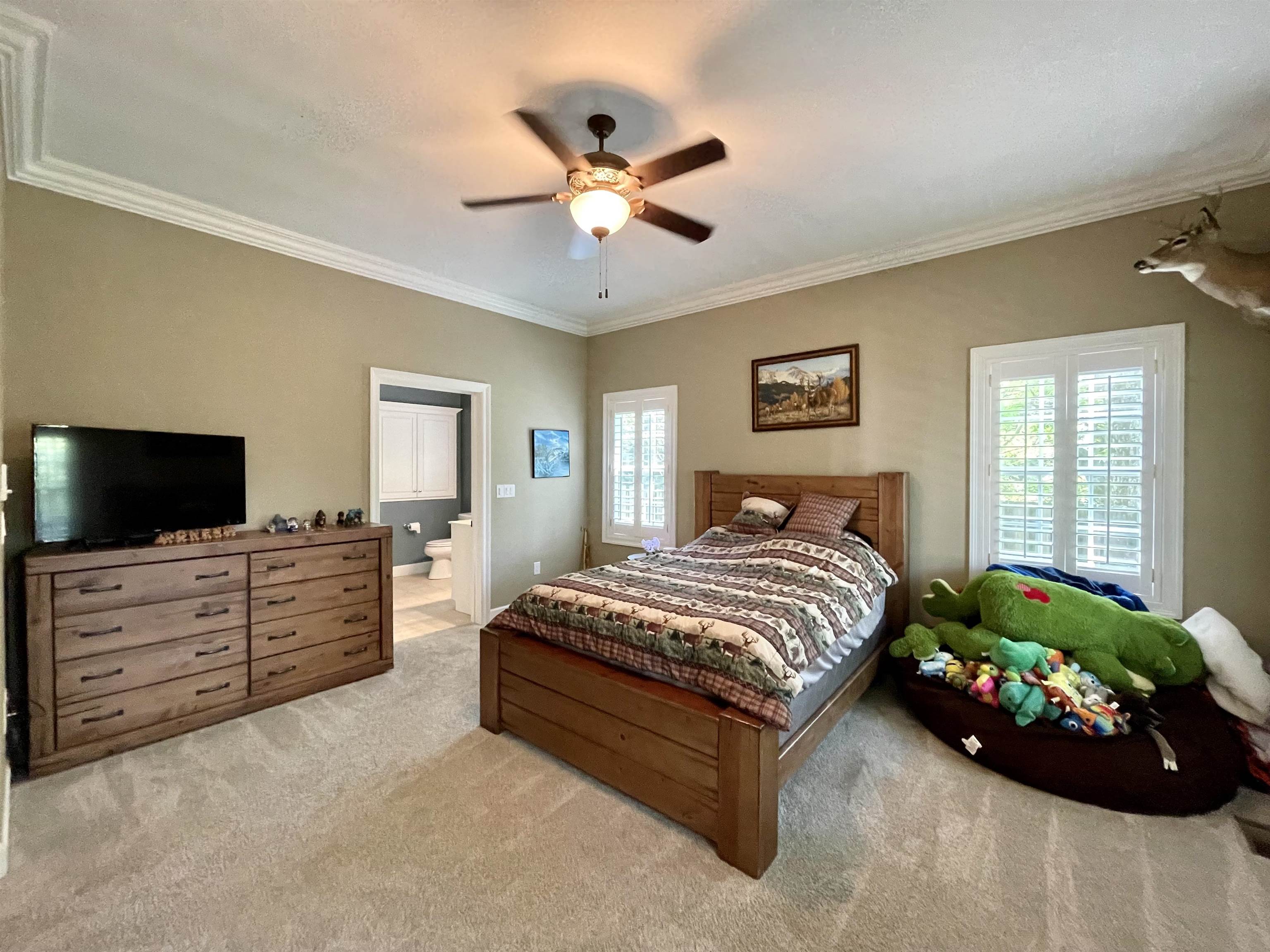 157 N Spring Street  Melbourne, AR