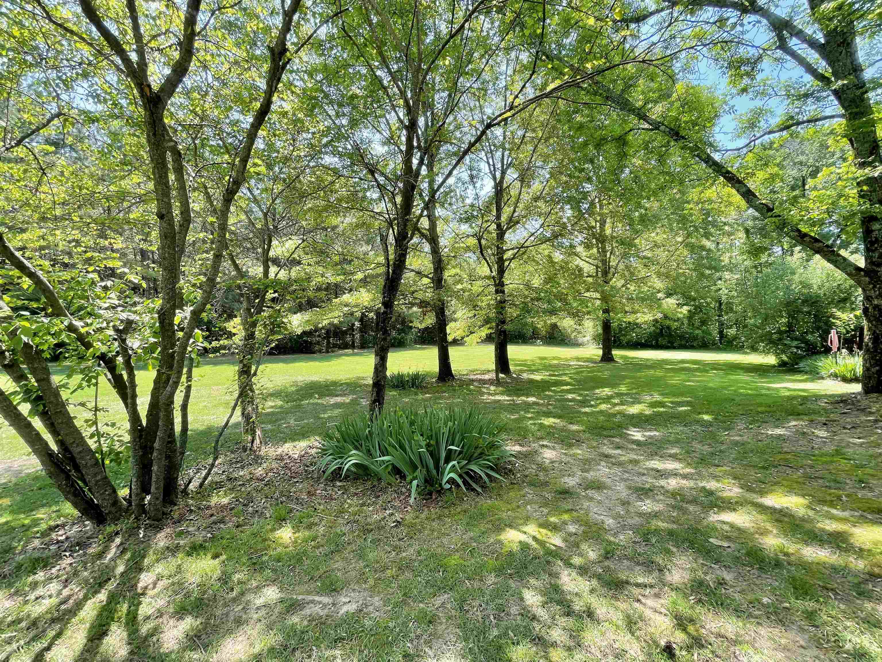 157 N Spring Street  Melbourne, AR