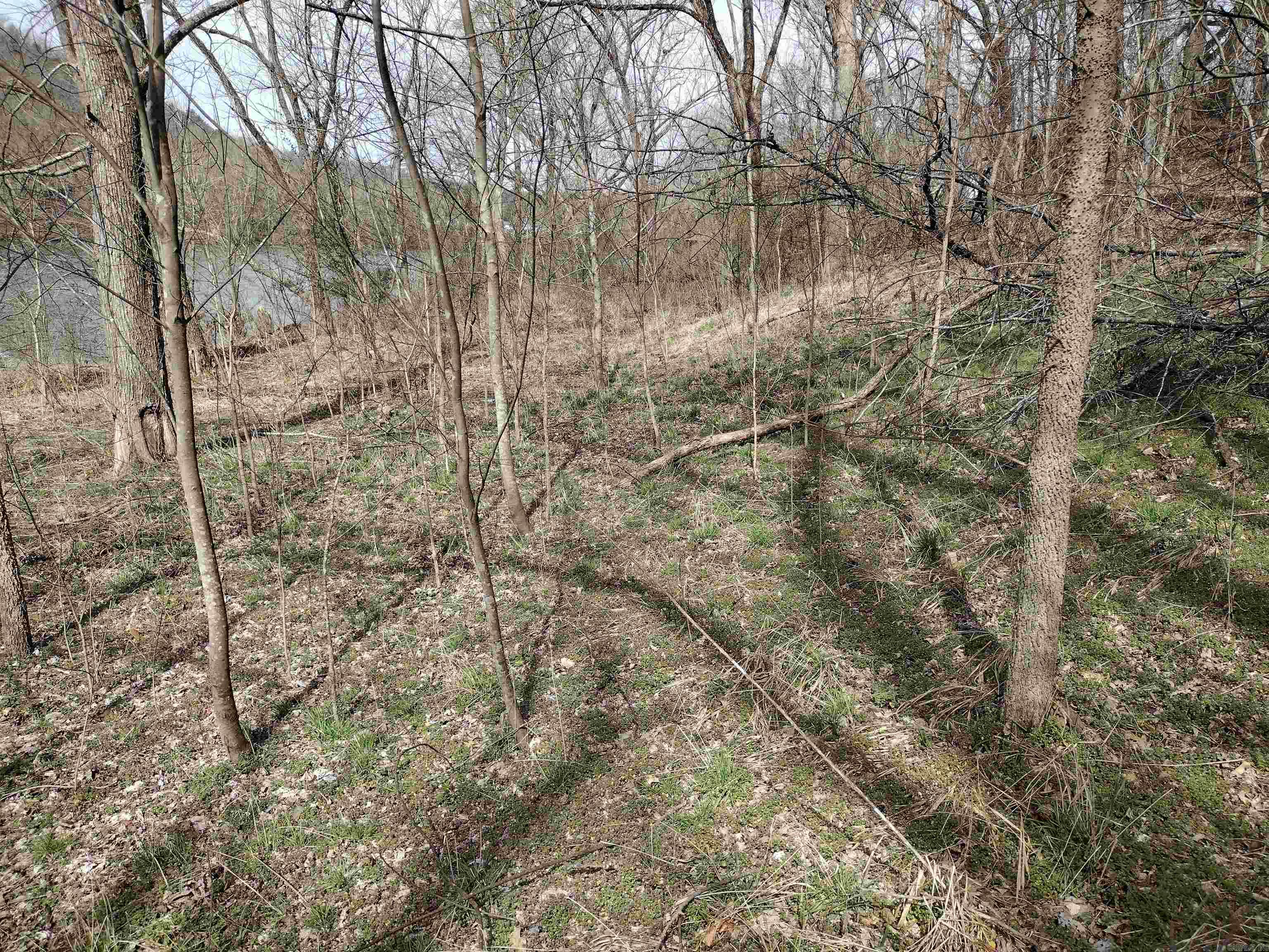 000 South RiverView  Sylamore, AR