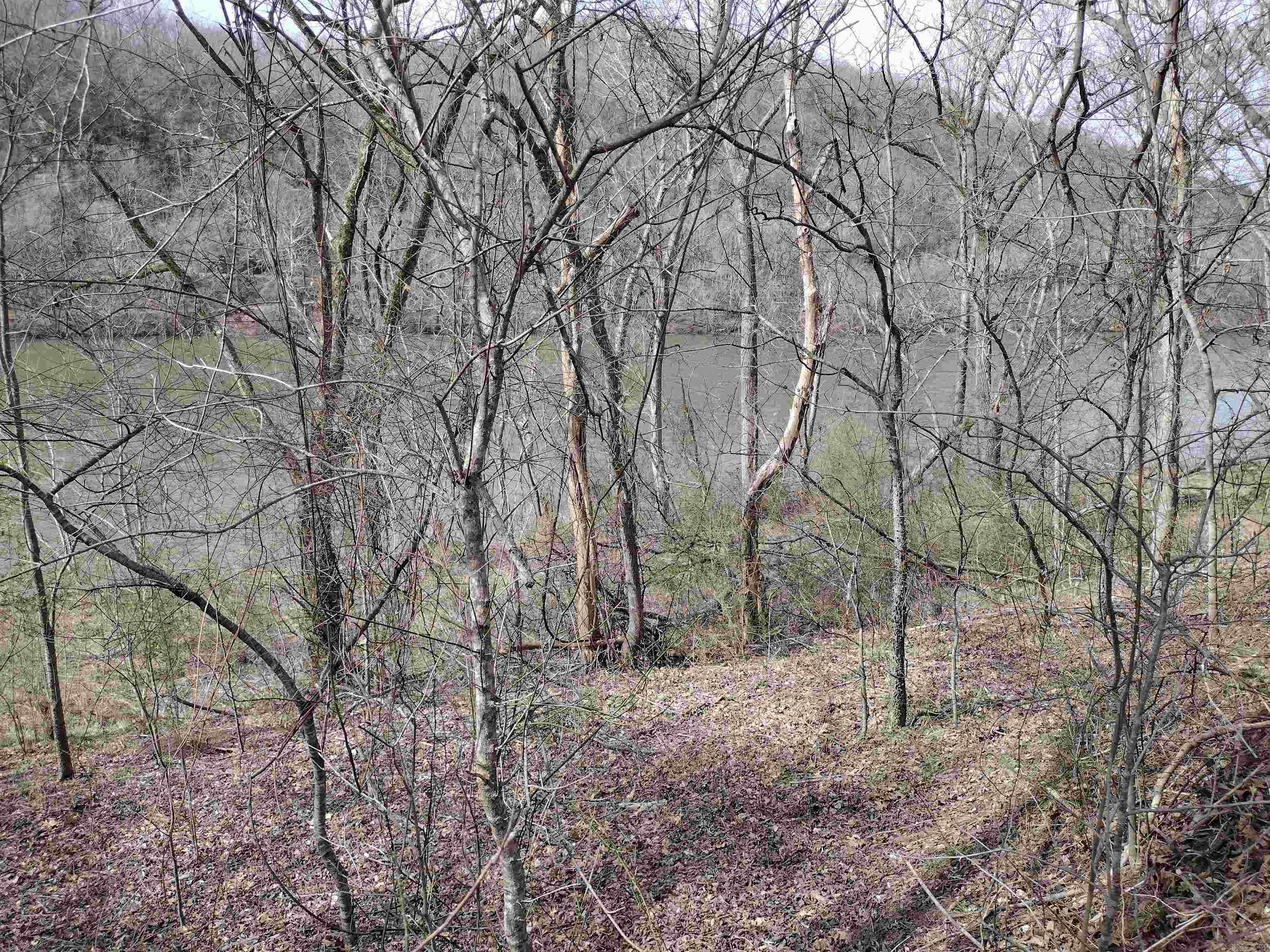 000 South RiverView  Sylamore, AR