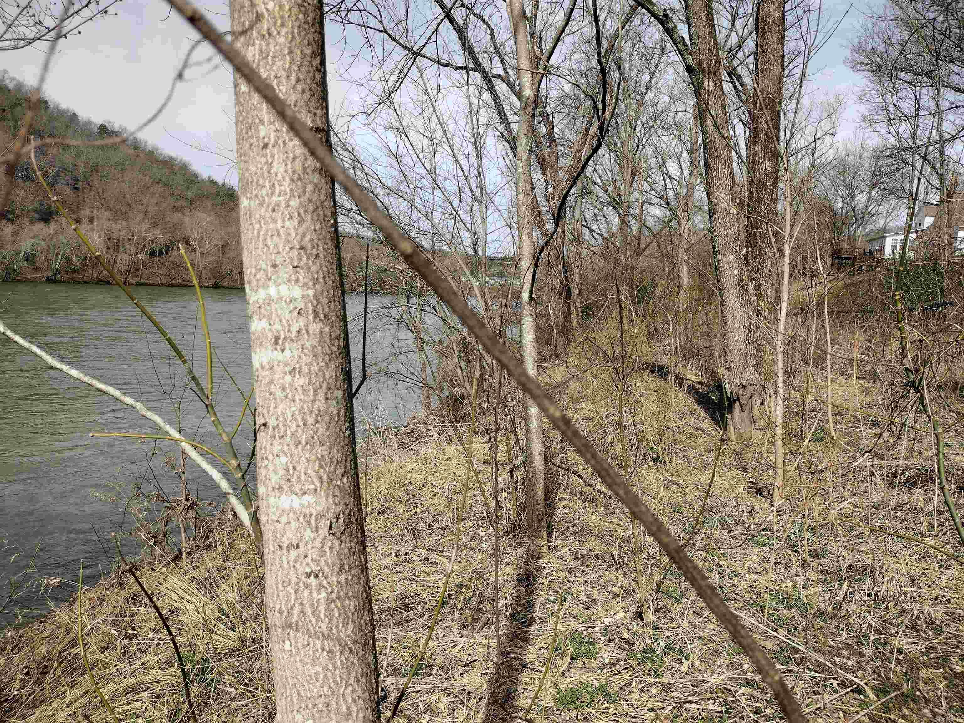 000 South RiverView  Sylamore, AR