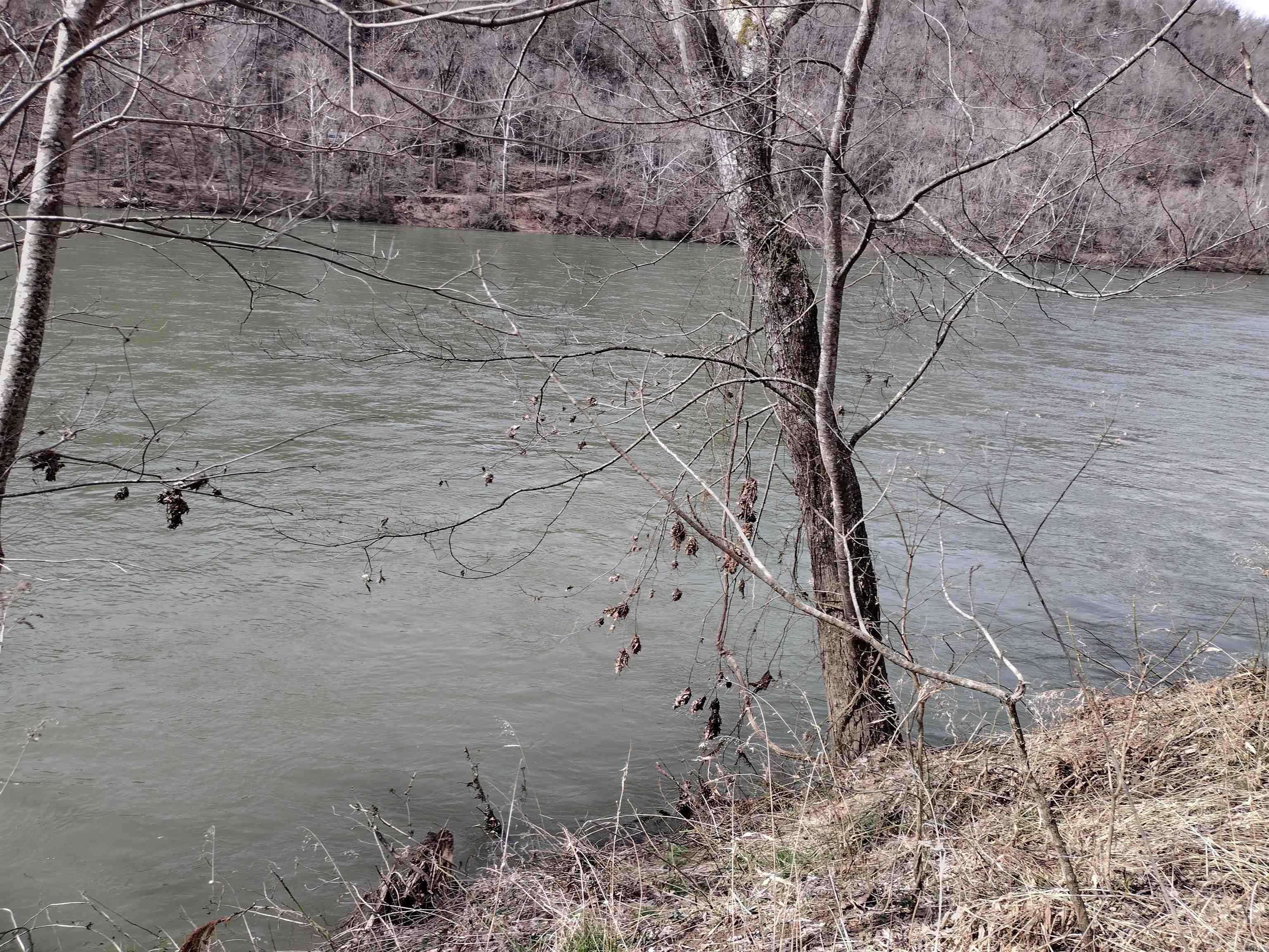 000 South RiverView  Sylamore, AR