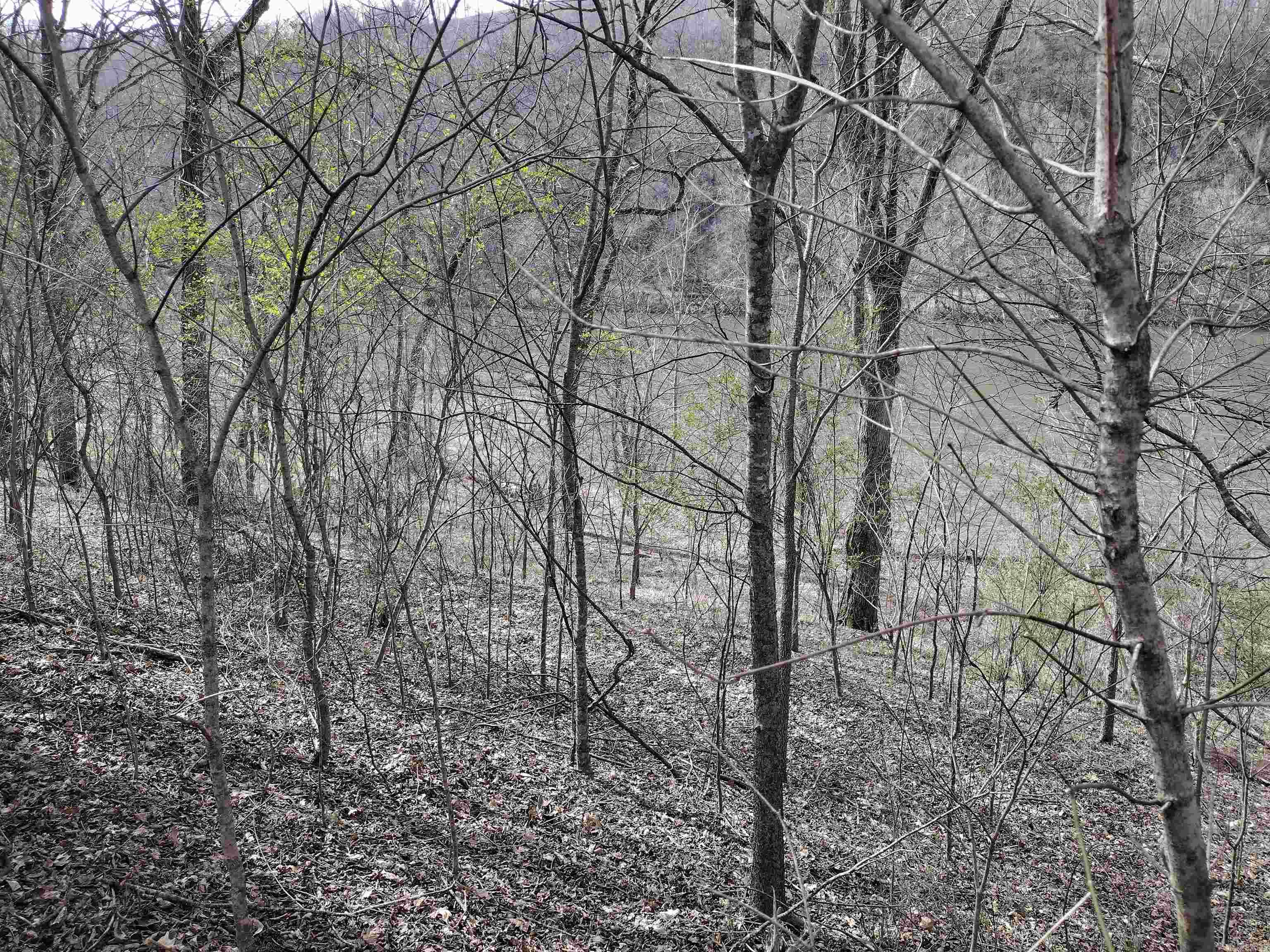 000 South RiverView  Sylamore, AR