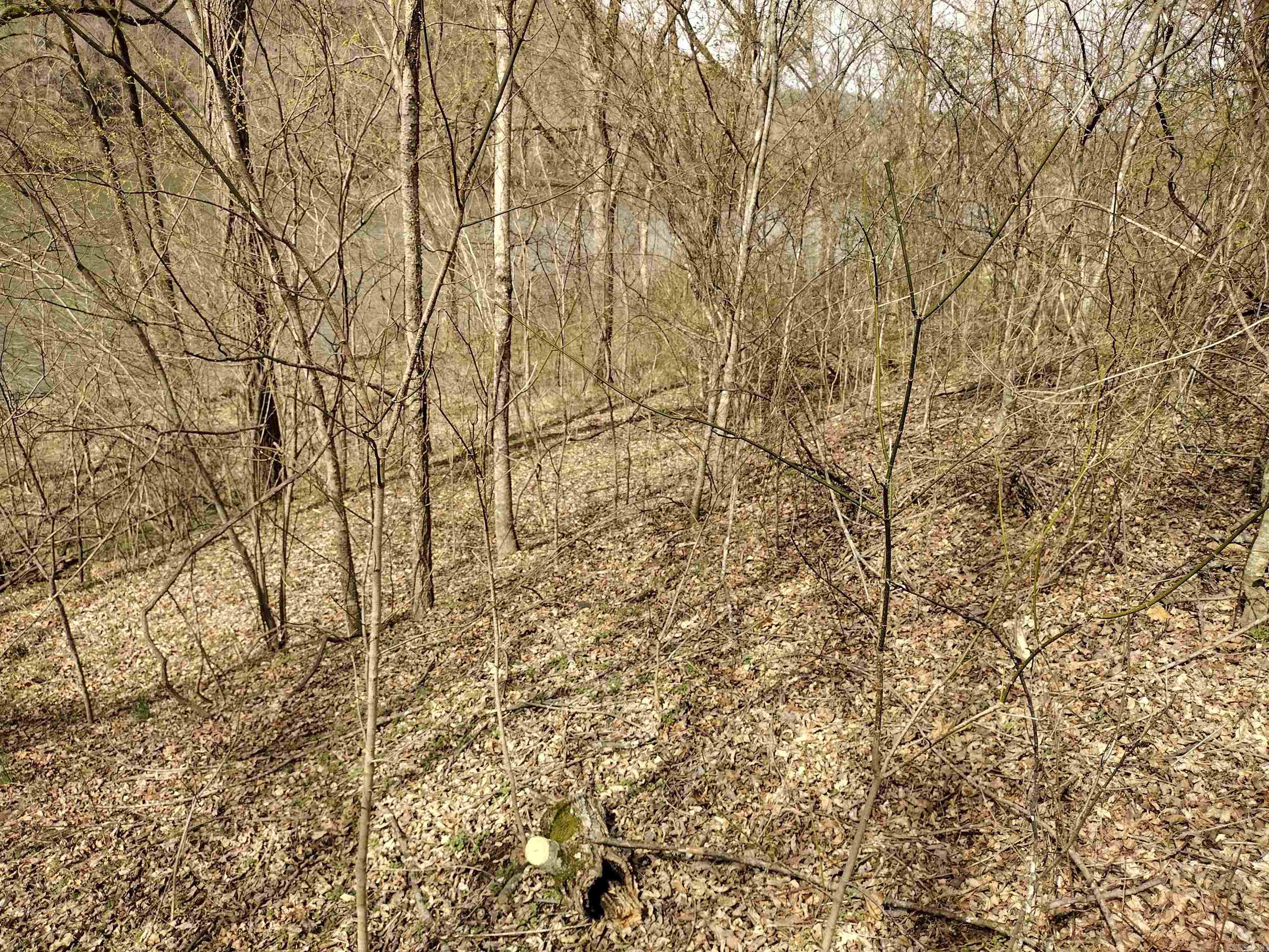 000 South RiverView  Sylamore, AR