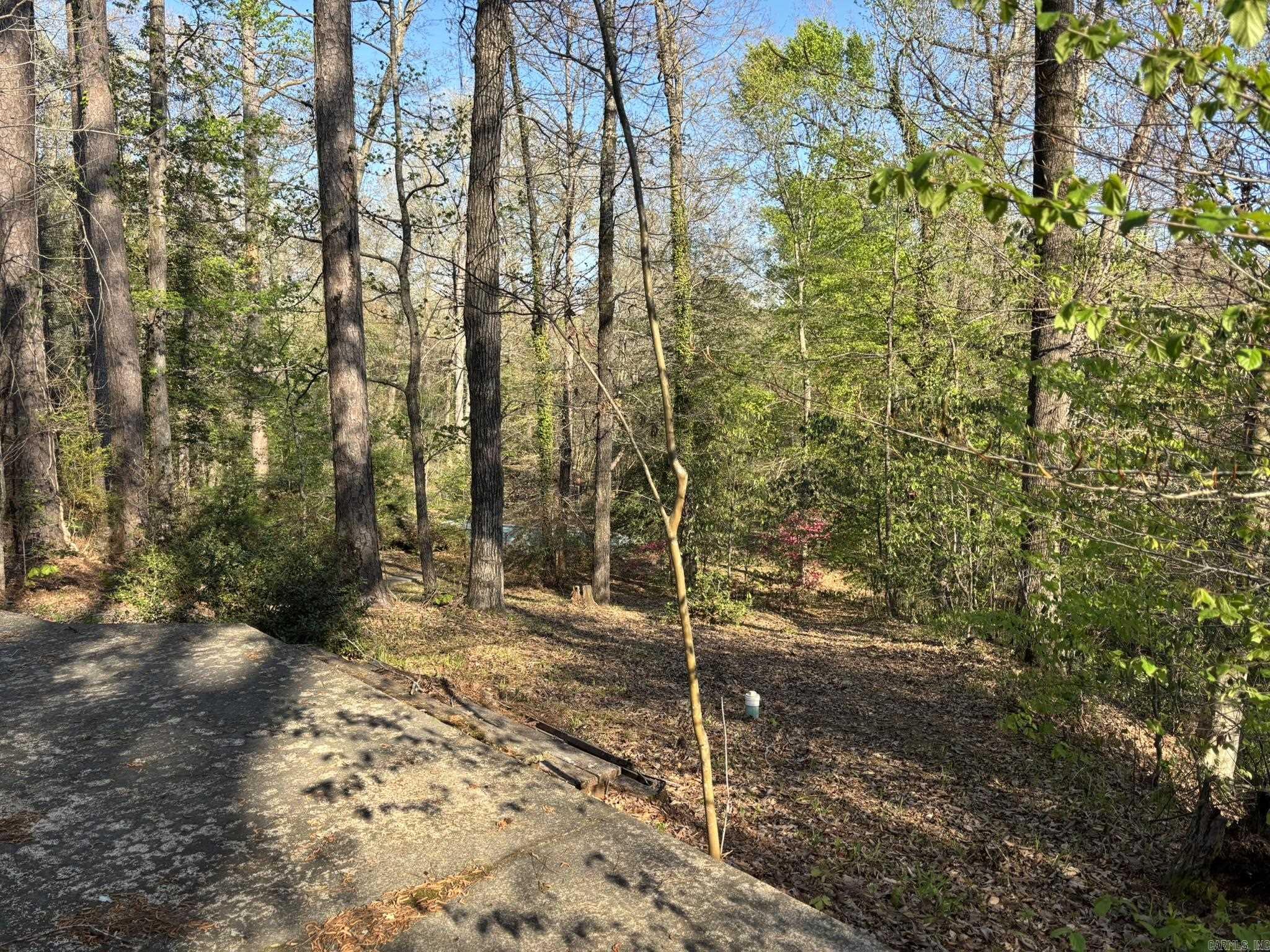 1 Timber Trails  Camden, AR