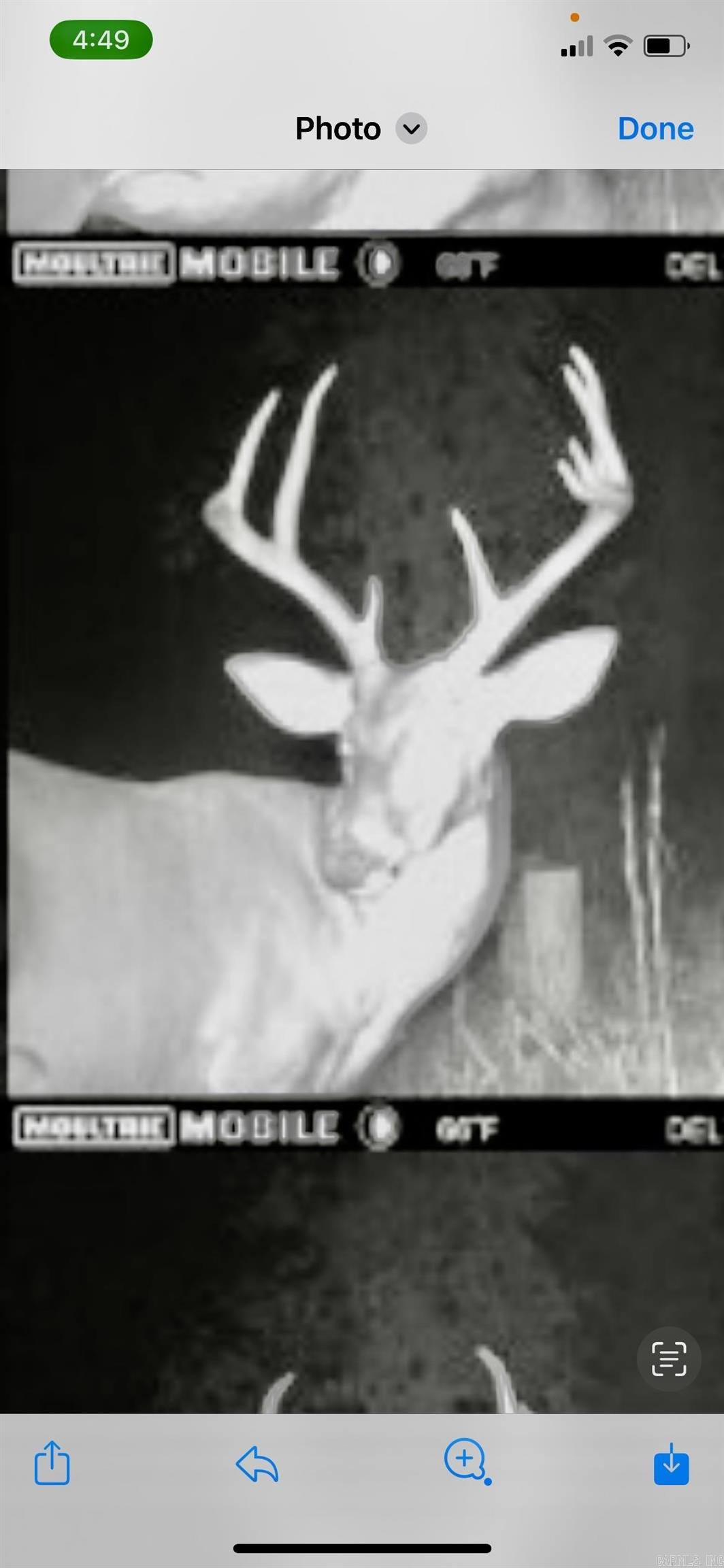 3056 hwy 270  Mount Ida, AR