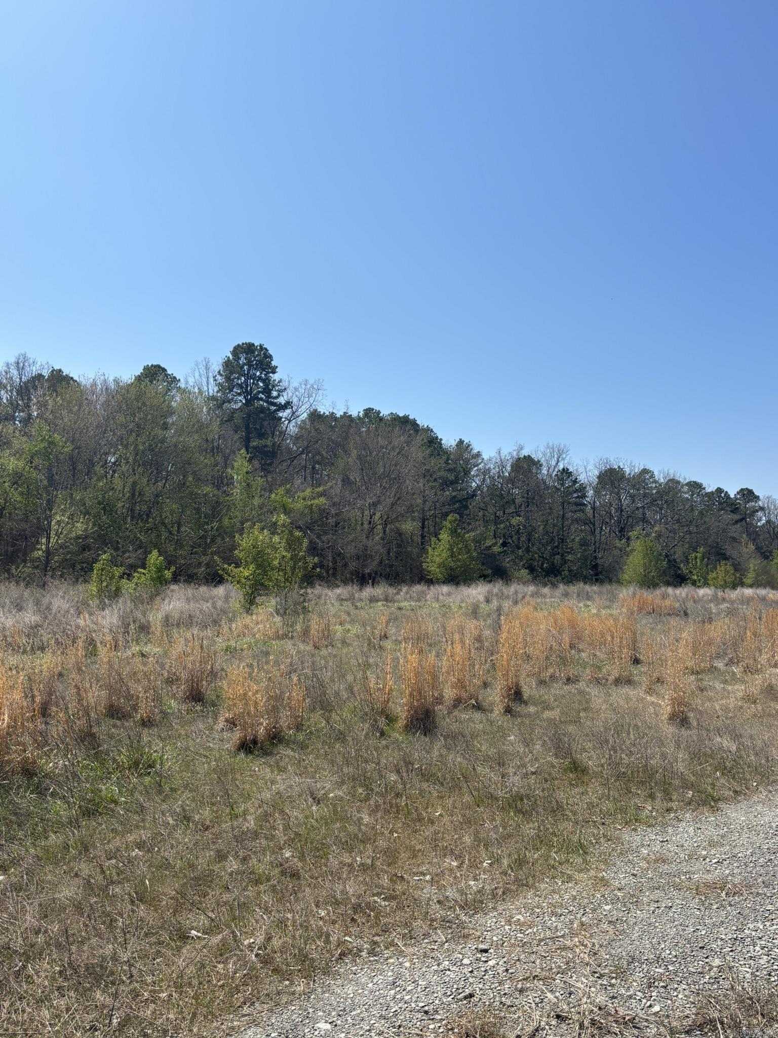 3120 S Highway 65  Clinton, AR