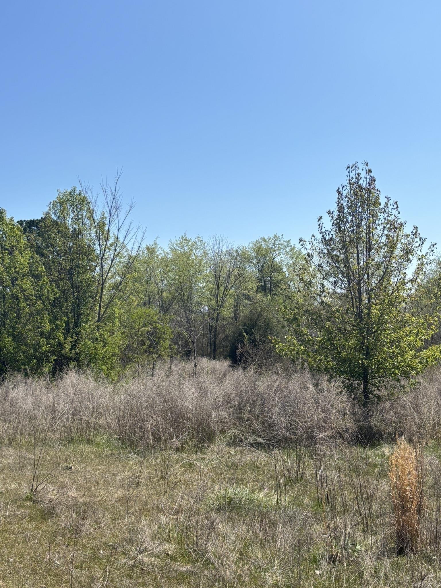 3120 S Highway 65  Clinton, AR