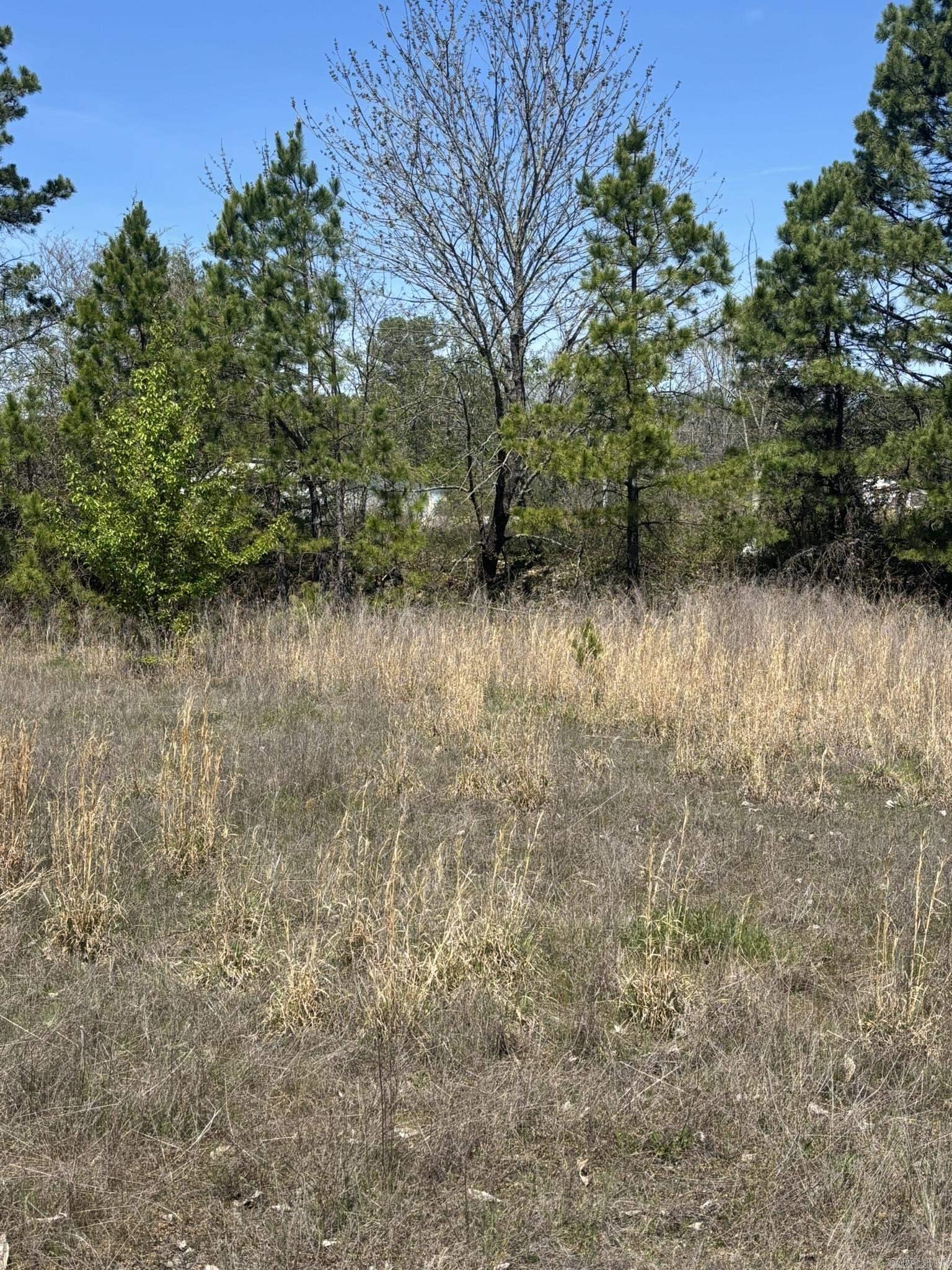 3120 S Highway 65  Clinton, AR