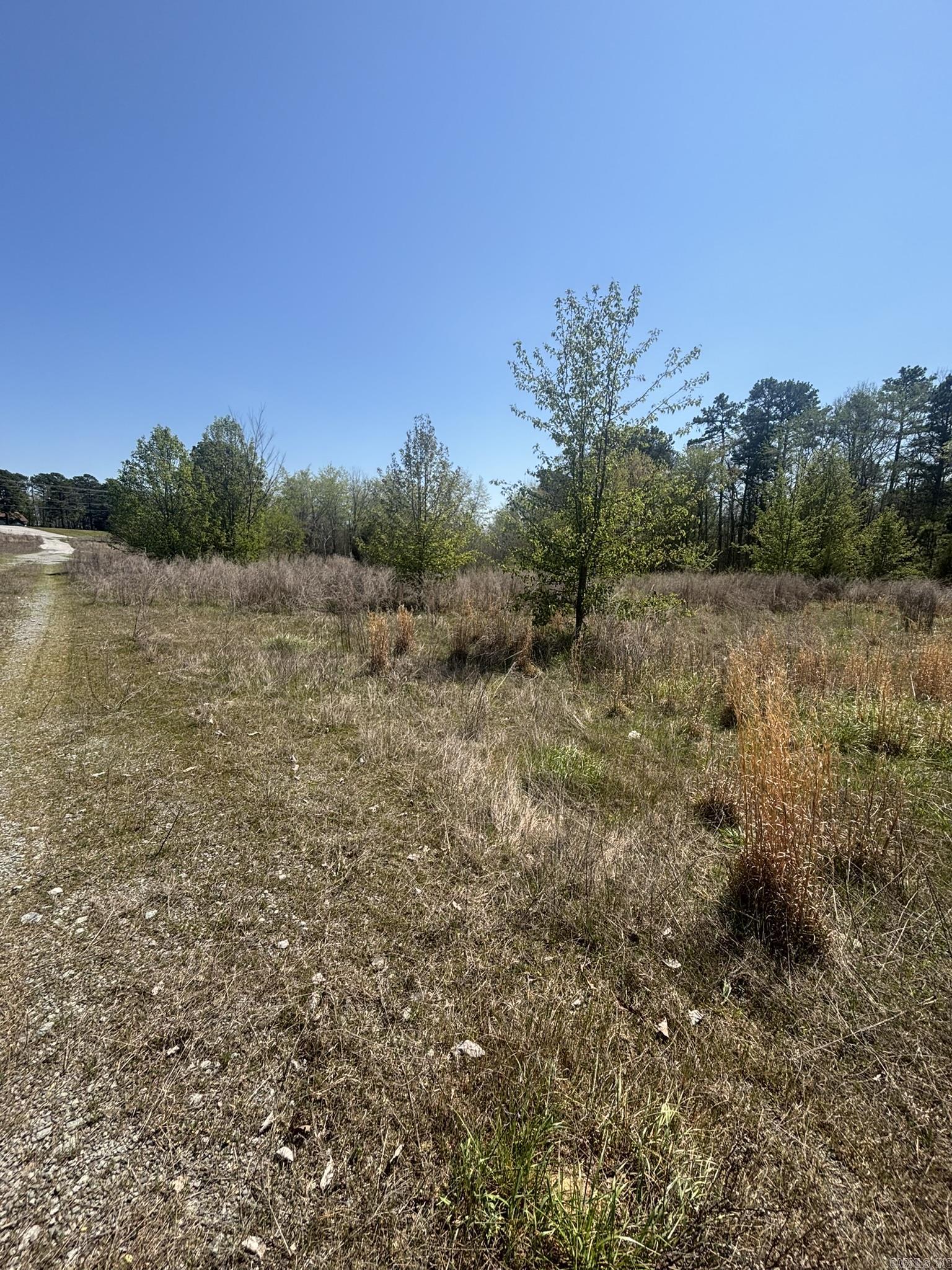 3120 S Highway 65  Clinton, AR