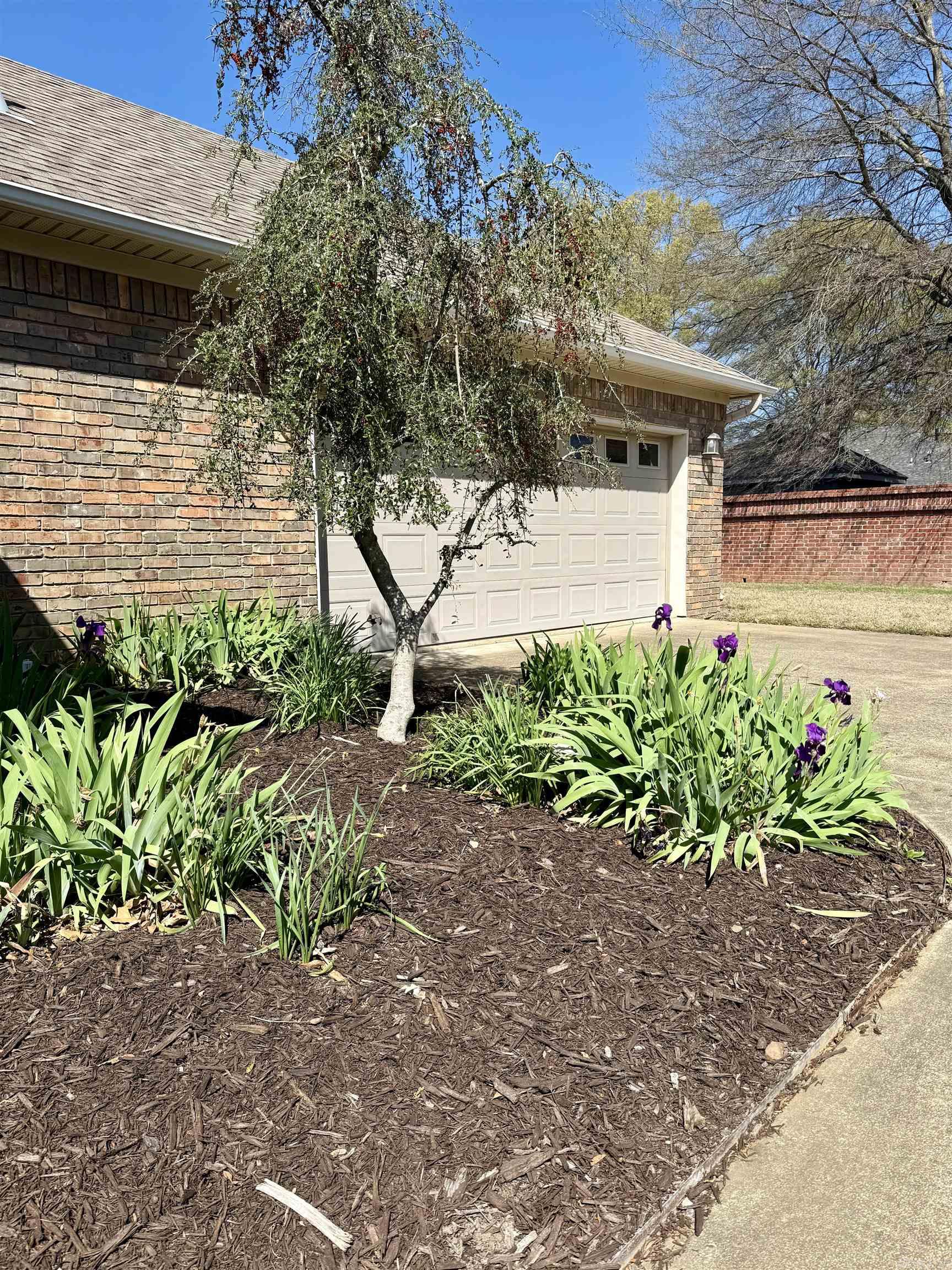 3030 Robert Ott Circle  Conway, AR